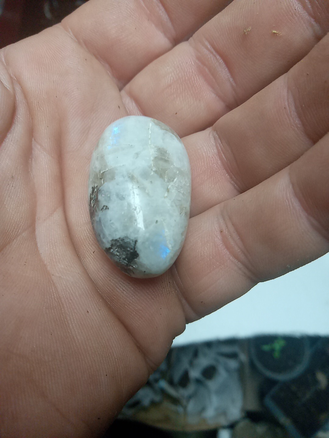 5 Crystal Set : Crazy Druzy Moss Agate Tower, Baby Geode Clear Quartz, 3 Tumbles