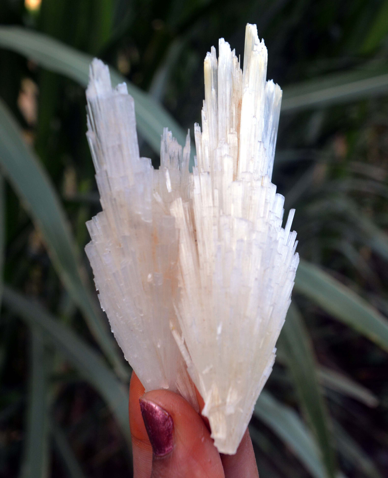 scolecite spray formation minerals specimen a-4