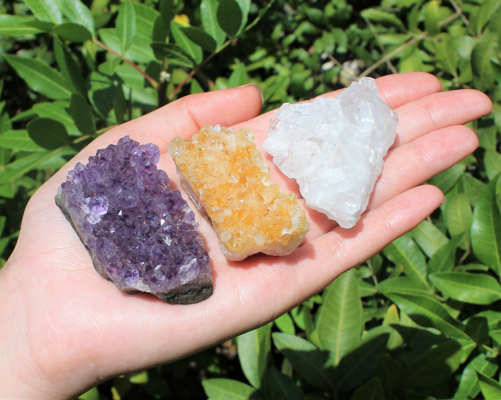 Citrine Amethyst Clear Quartz Crystal Clusters: 3 Piece Lot (Druze Specimen)