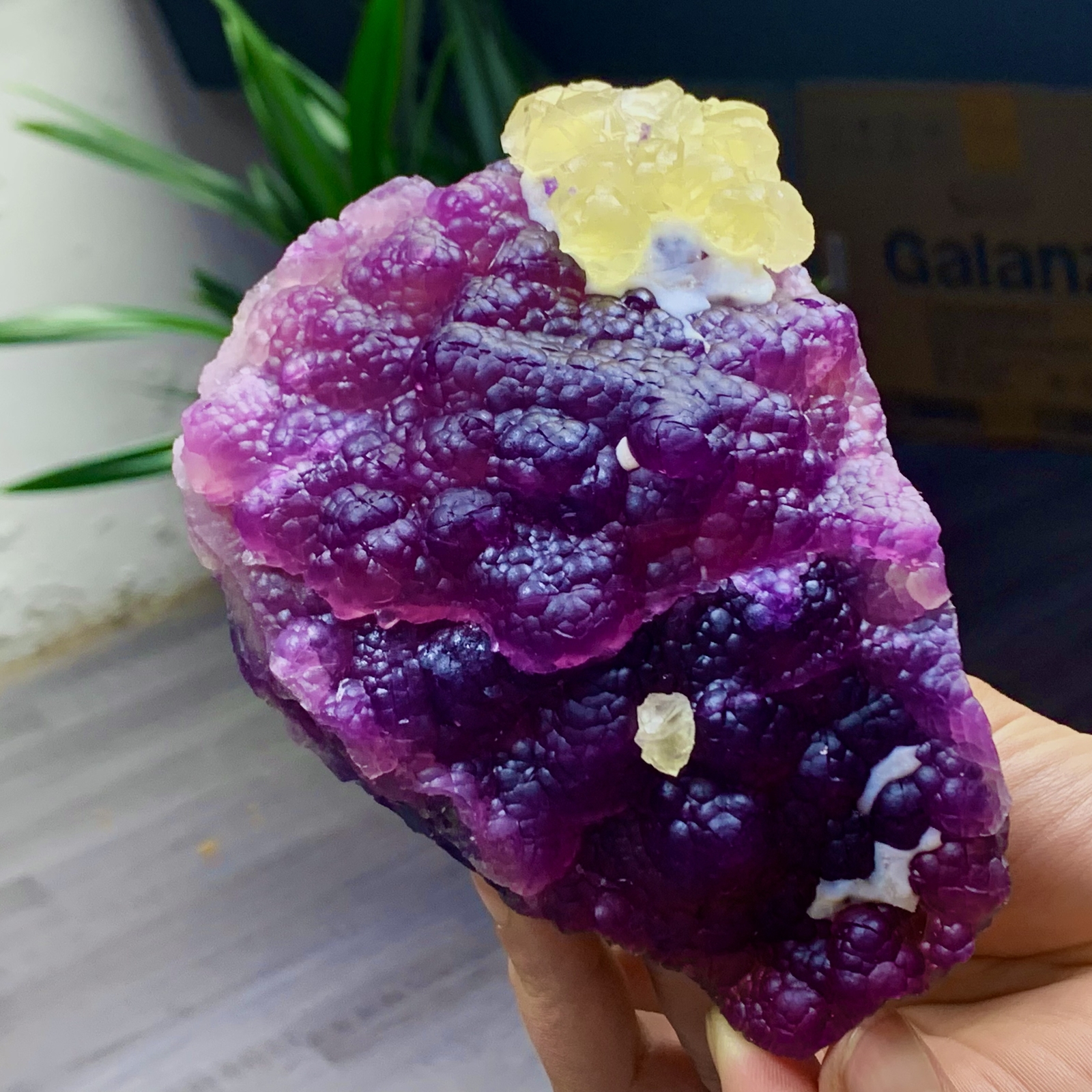 2.40LB Complete rare and gorgeous purple fluorite from Inner Mongolia, China