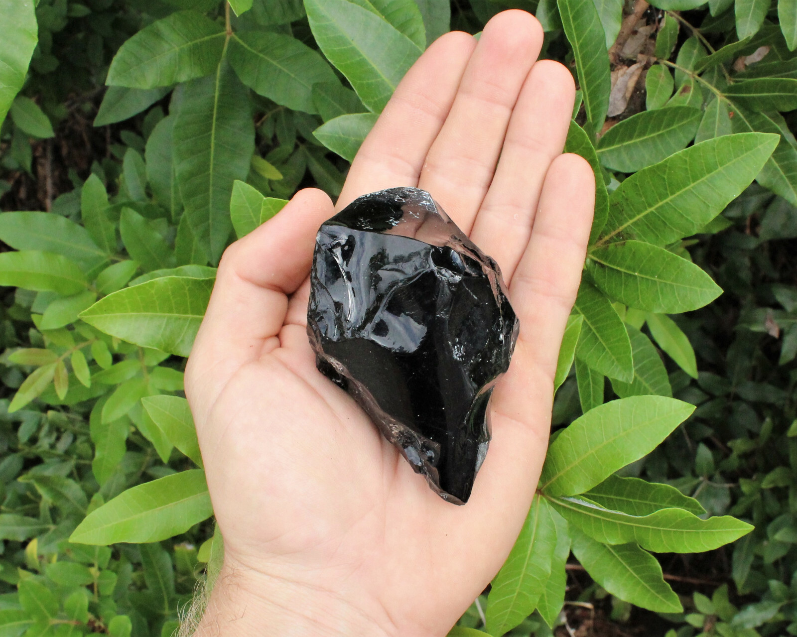 LARGE Black Obsidian Rough Natural (2.5 – 4″) – Raw Obsidian Crystal Bulk lots