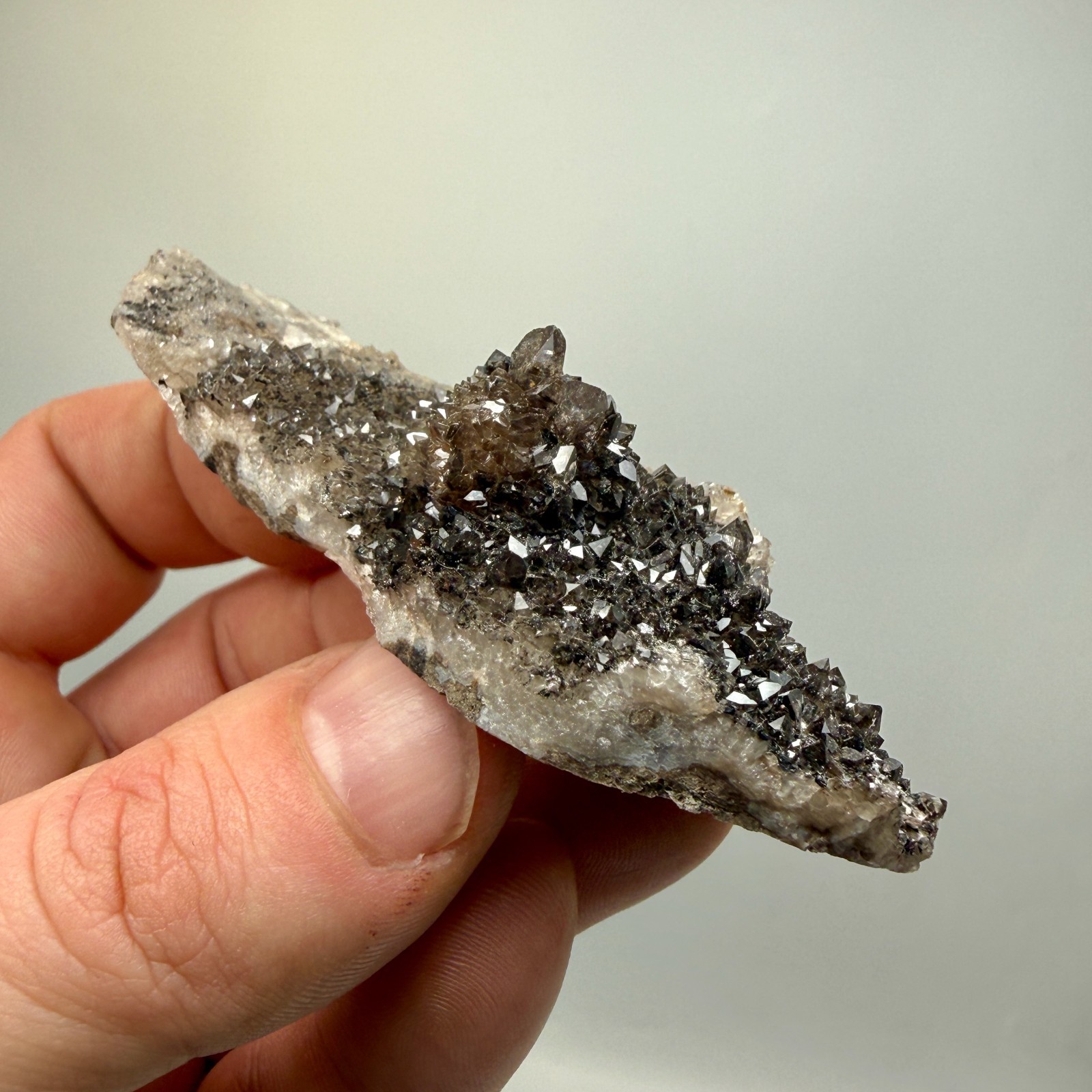 Black Druze with Hydrocarbon Phantom Percher Herkimer Diamonds, Rare Matrix!