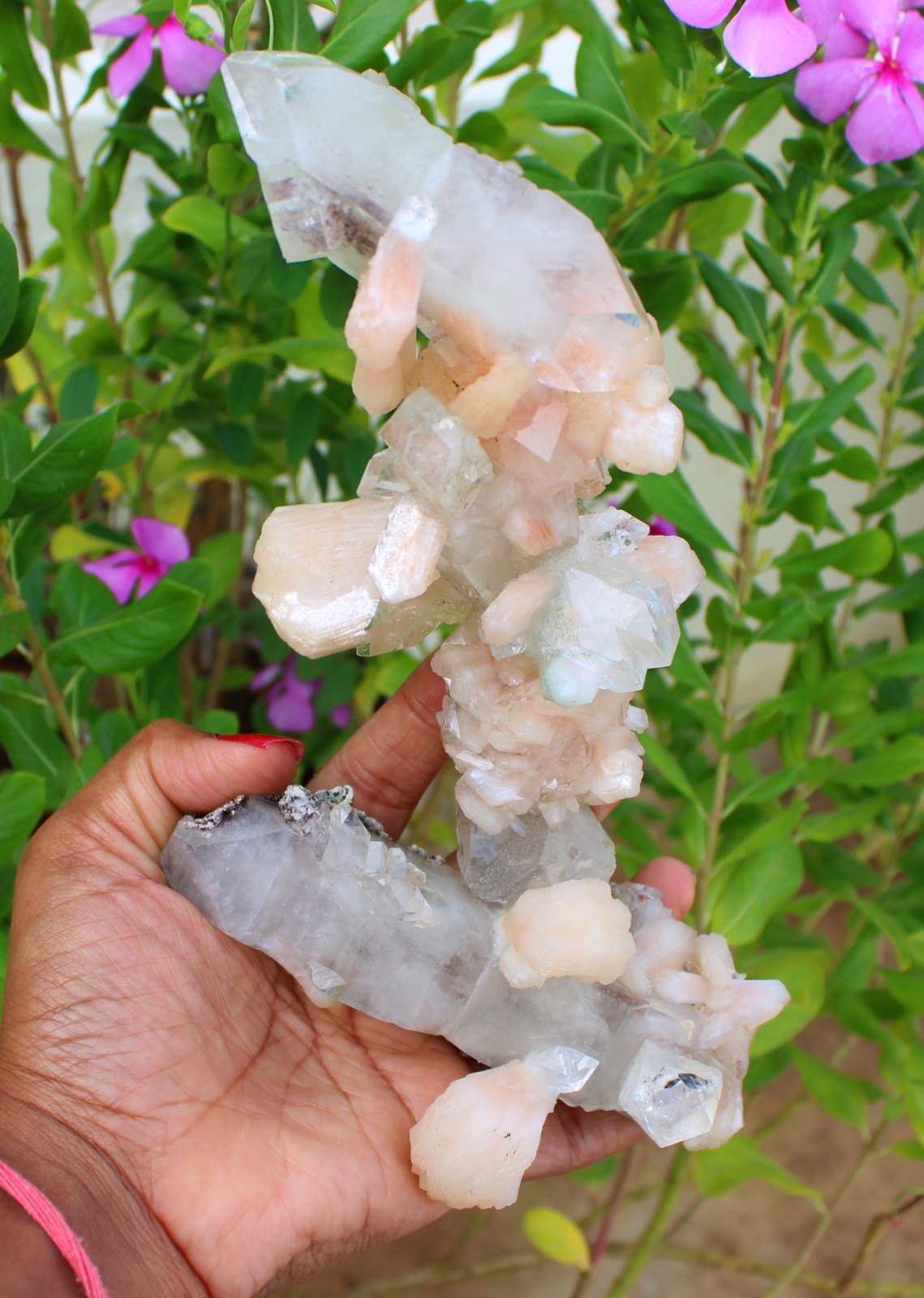 Apophyllite Crystals w/ Stilbite Formation Minerals Specimen ( 21×10 ) REPAIR