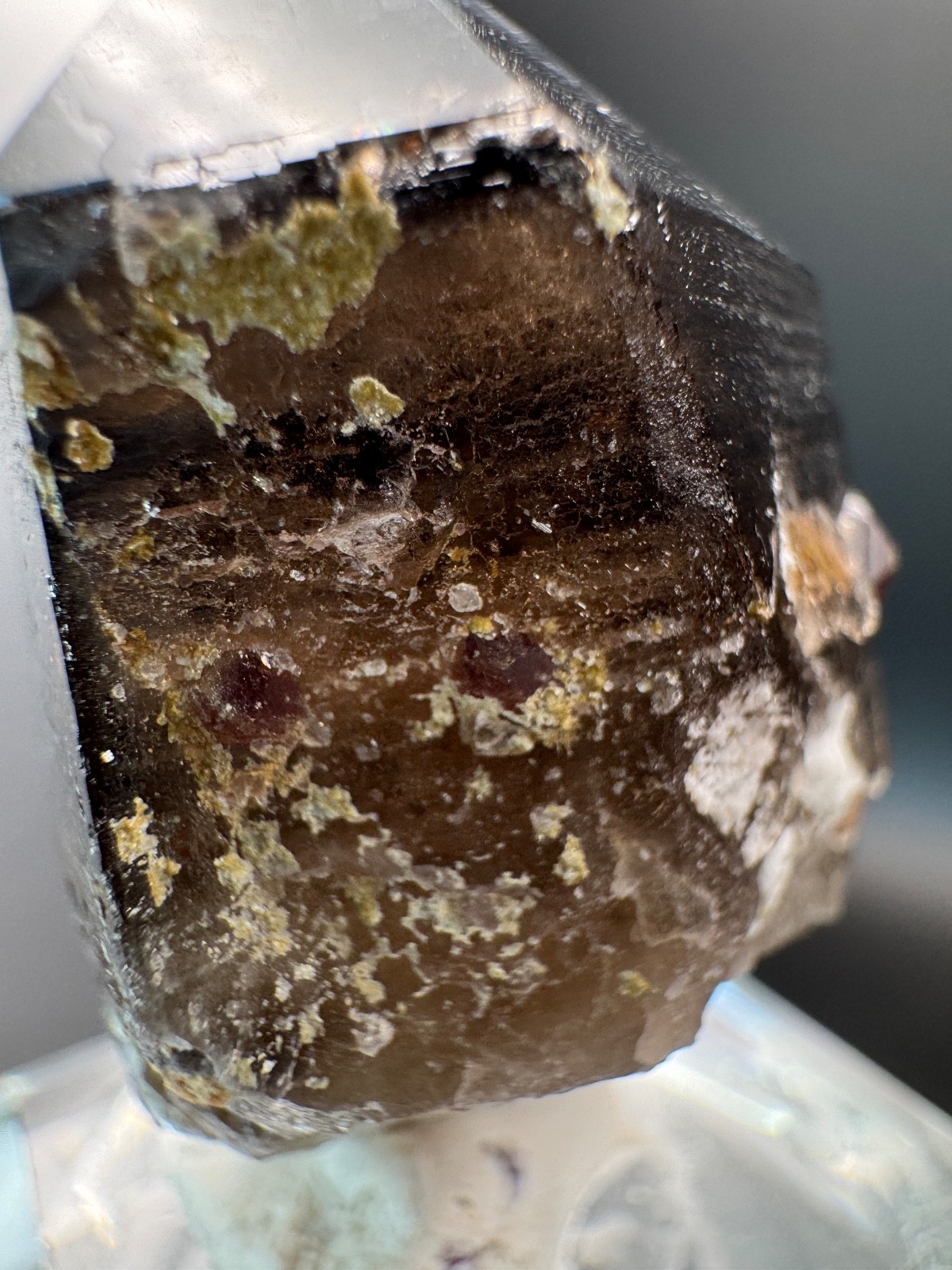 6178 Smoky Quartz Point with Red Garnets and Garnet Inclusions 34g Fu Jian
