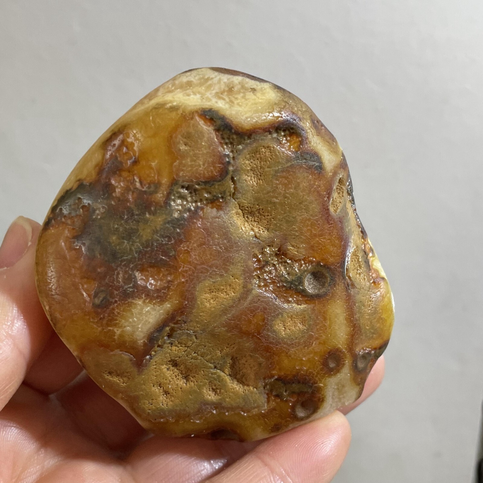 205g Bonsai Suiseki- Gobi Agate Eyes Stone-Rare Stunning Viewing