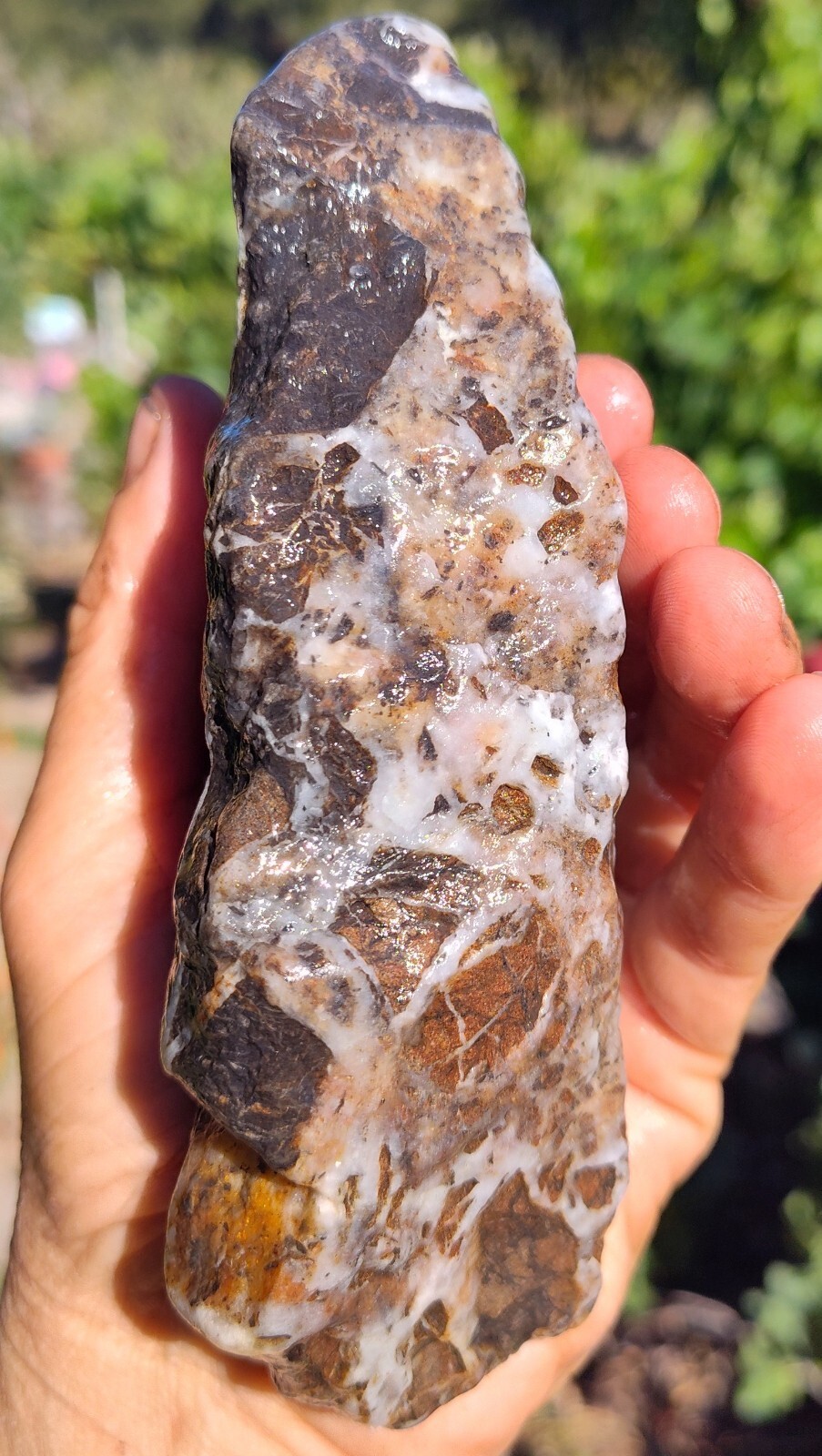 Quartz Crystal Vug Yoni Talisman Amulet Stone California Central Coast 1 Lb 1 Oz