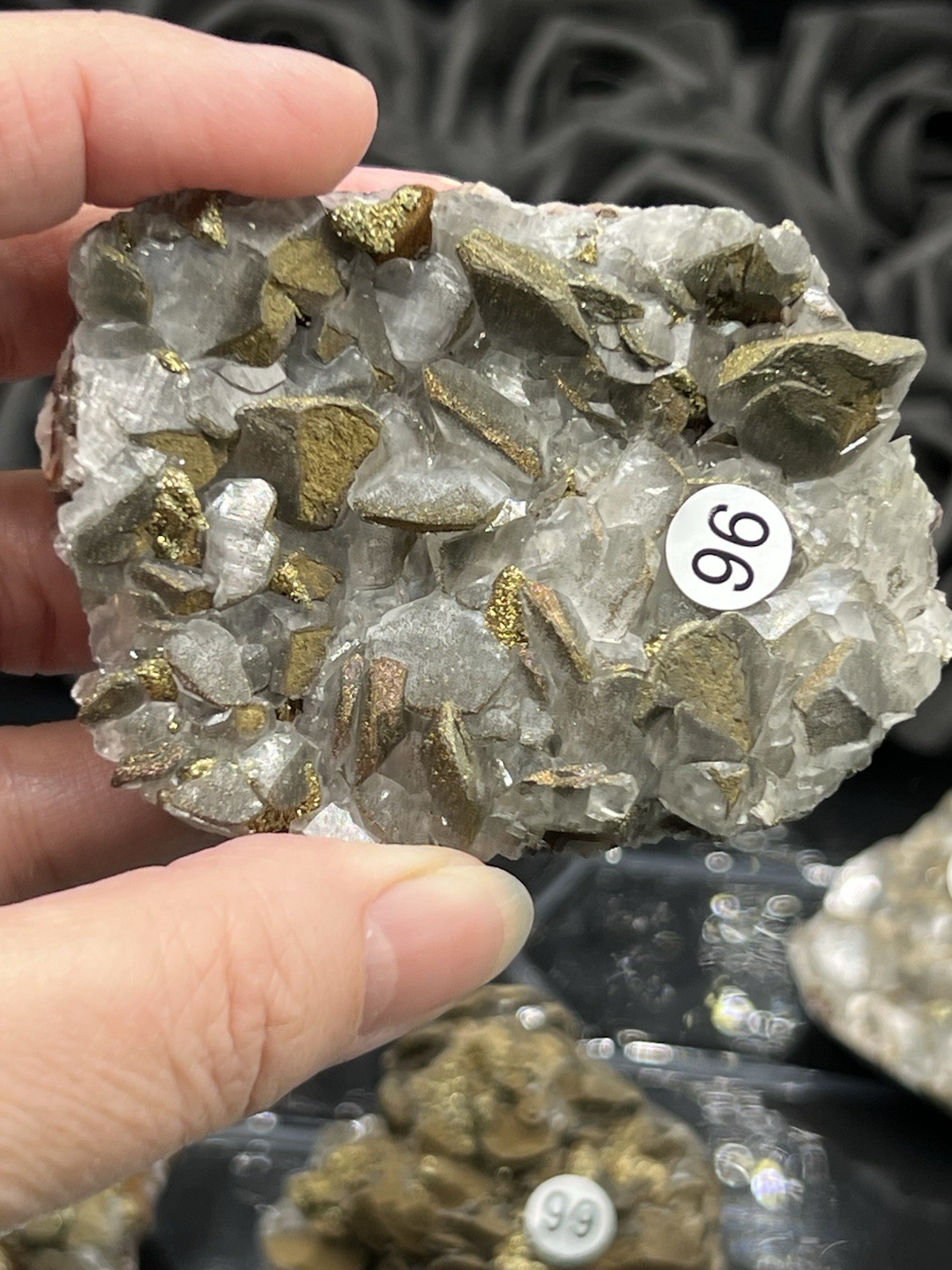Natural Pyritic “Benz Coin” Calcite Specimen great Formation Free ship & Gift