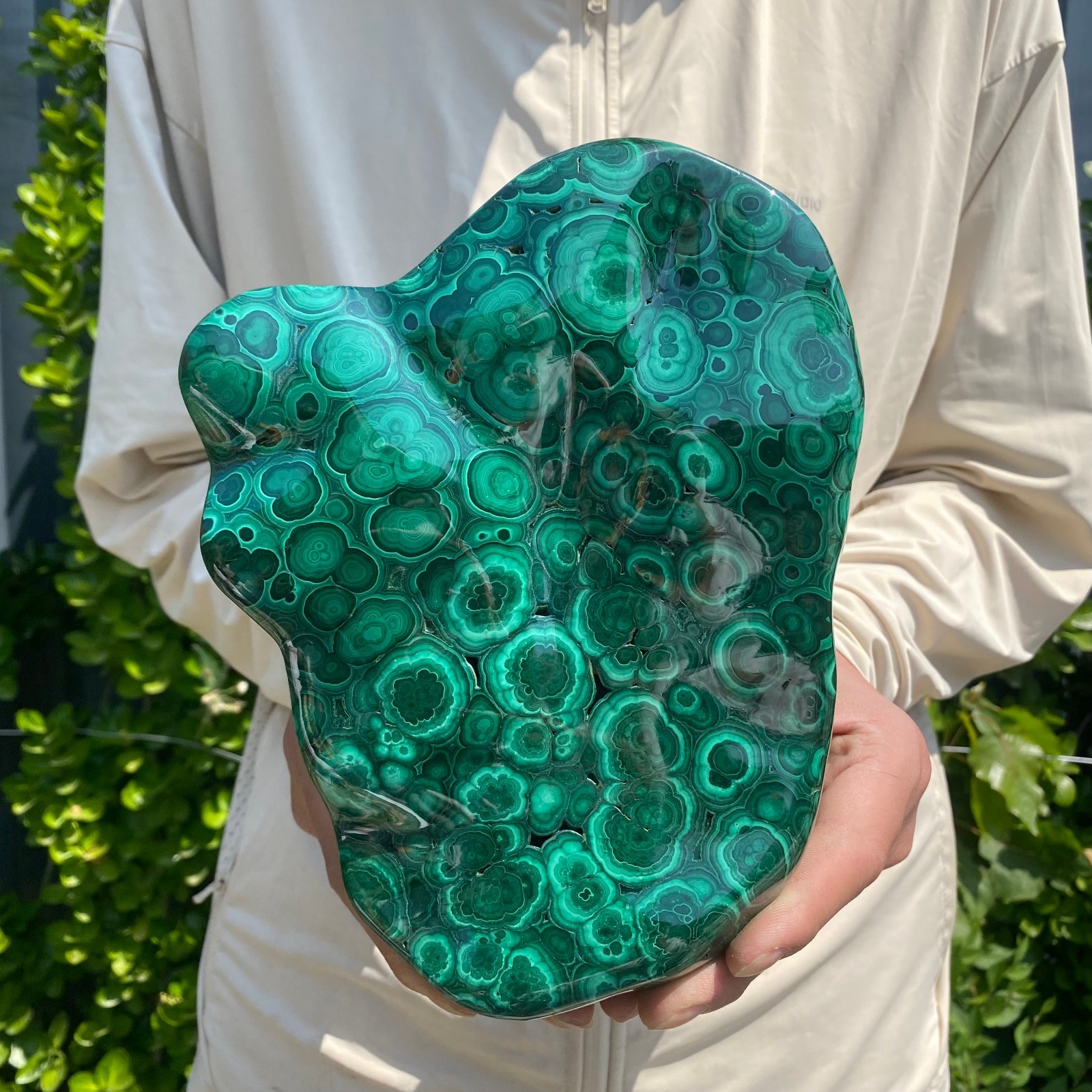 7.27LB Natural glossy Malachite transparent cluster rough mineral sample