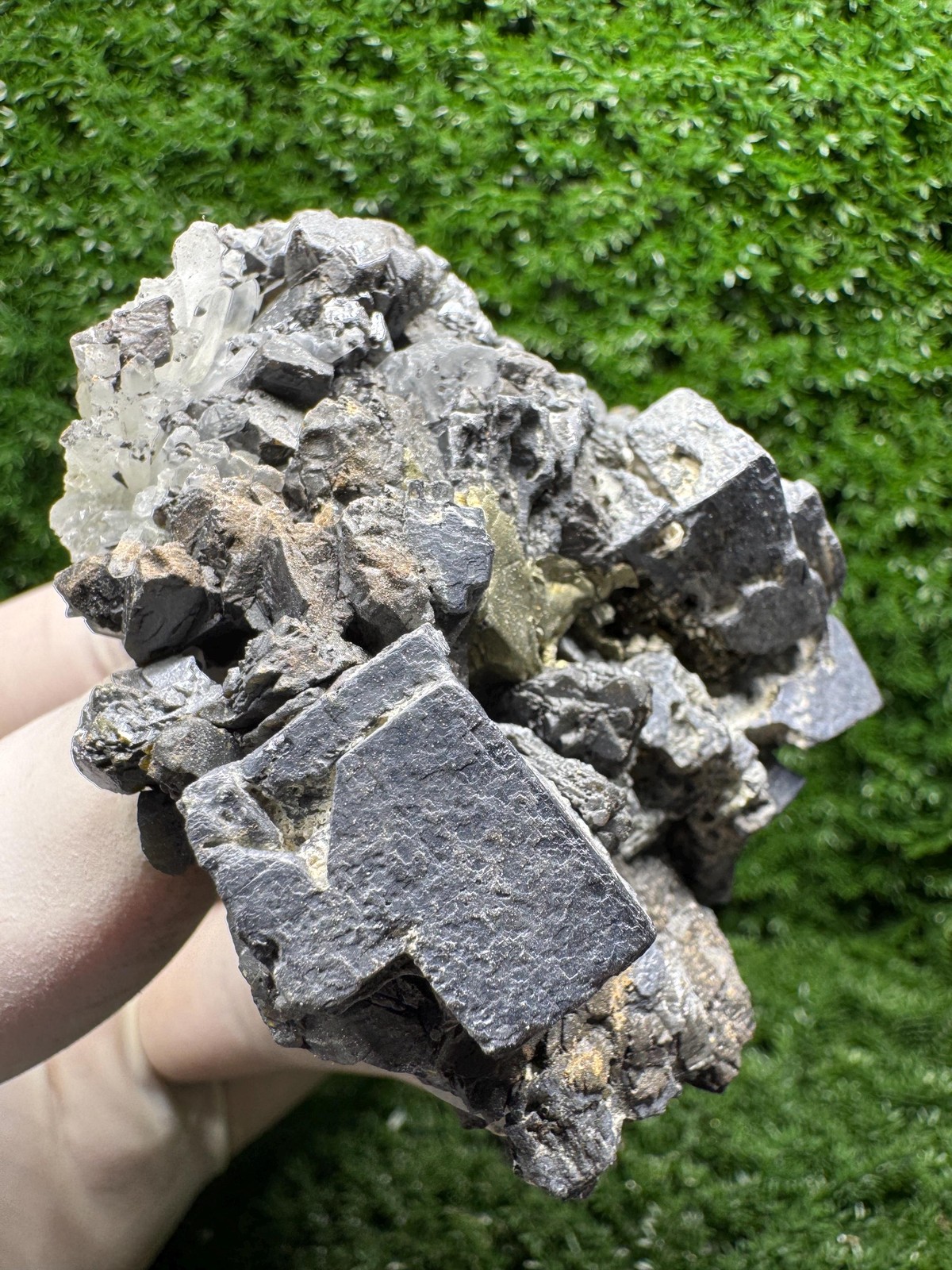 Crazy! SKELETAL GALENA With Strong Luster from The Mines! Rare Specimen! / F623