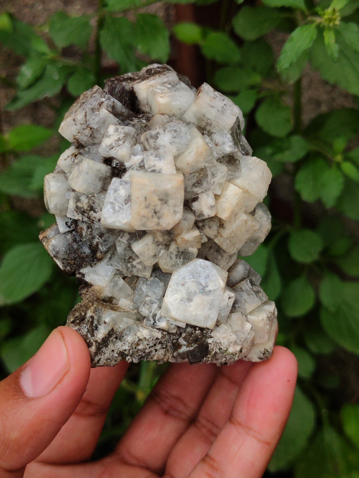Disco Ball off Black and white Apophyllite Natural Mineral specimen