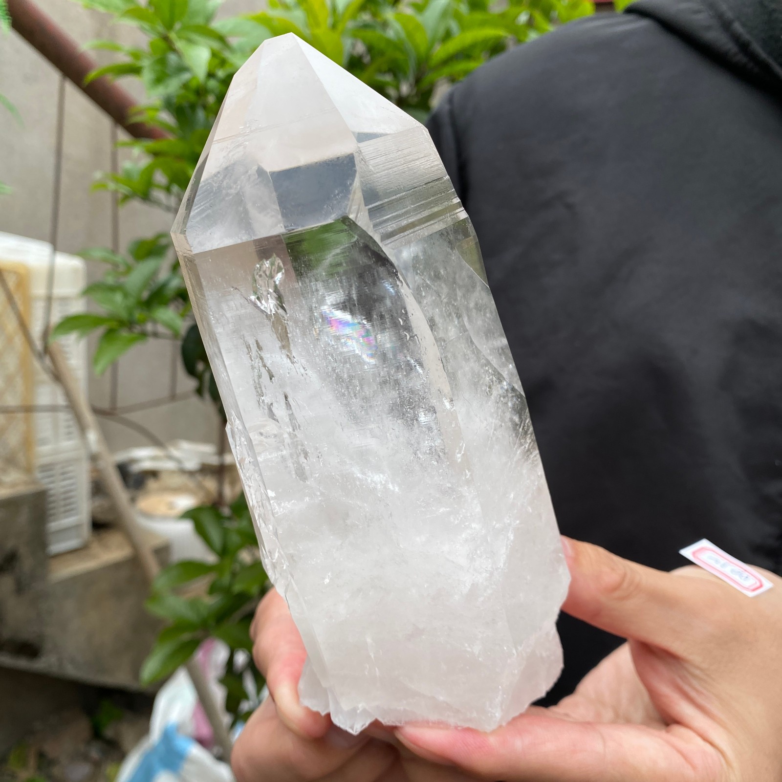 2.3lb Raw Natural Clear White Quartz Crystal Rough Healing Specimen