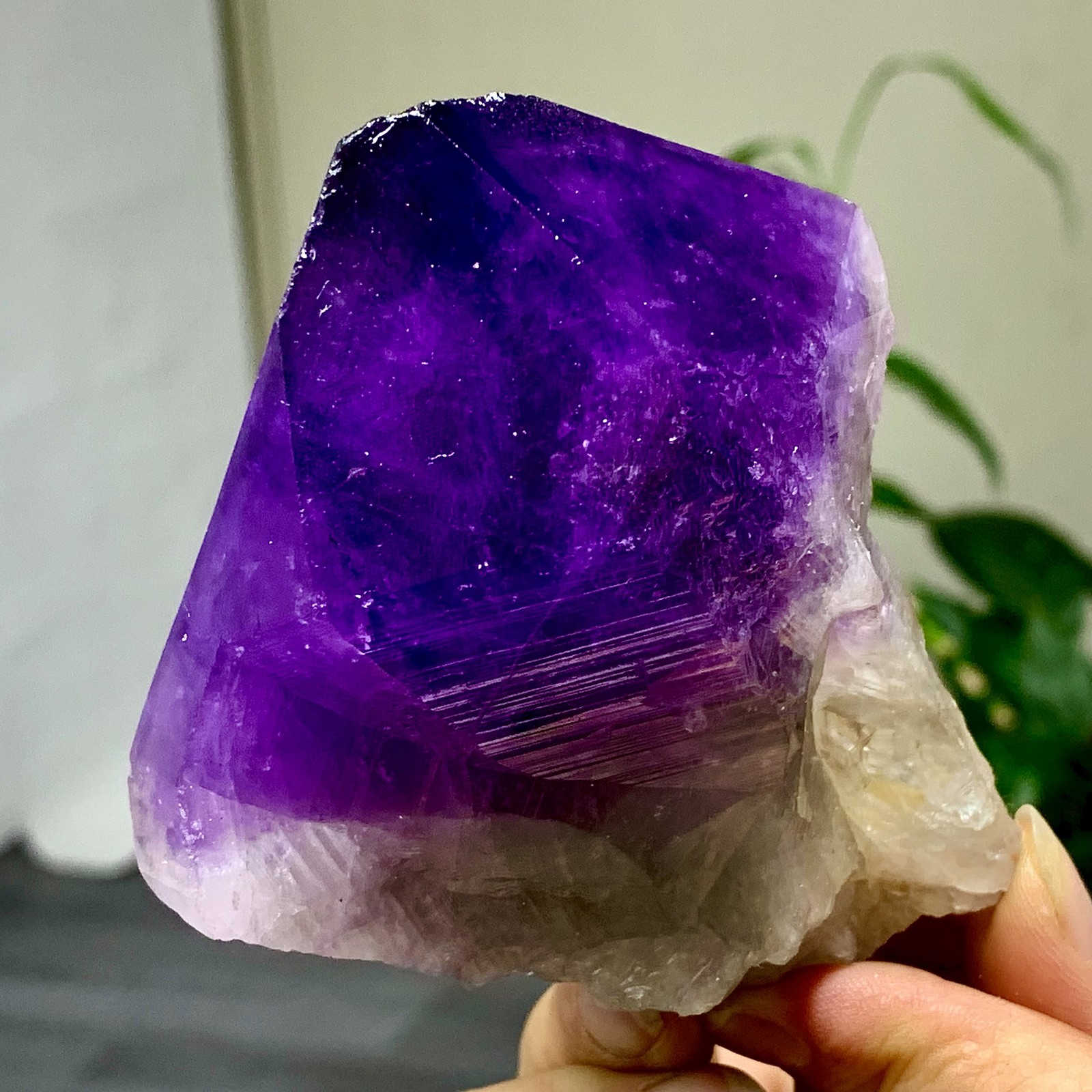 375G Natural Amethyst Quartz Crystal Single-End Terminated Wand Point Healing