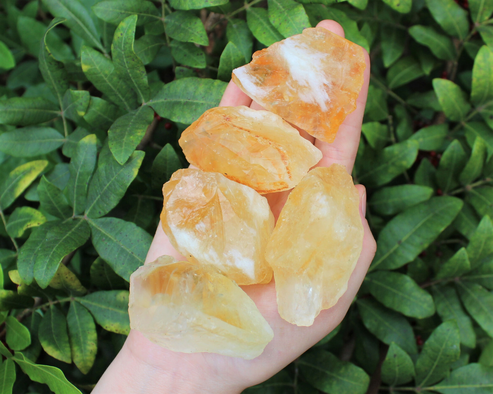 LARGE Rough Citrine Crystal, Raw Gemstone Rock (Gold / Yellow , 2″ – 3″)
