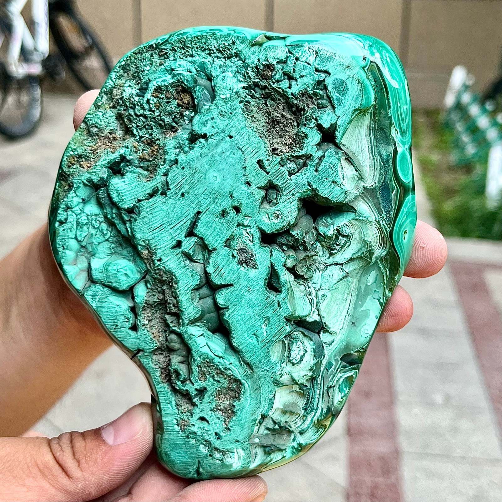 2.2 lb Malachite Quartz Freeform One Side Polished Natural Crystal Specimen