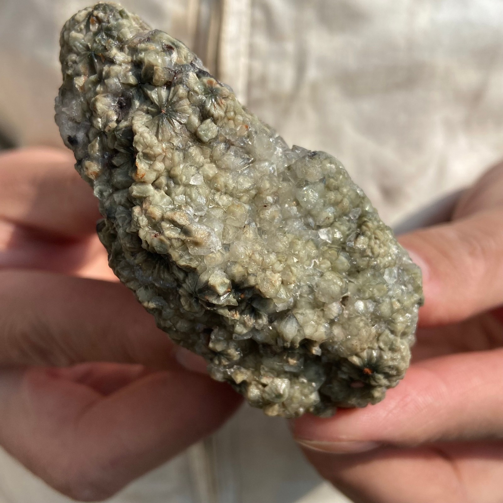 0.4lb Natural colourful ocean jasper raw stone crystal rough mineral specimen