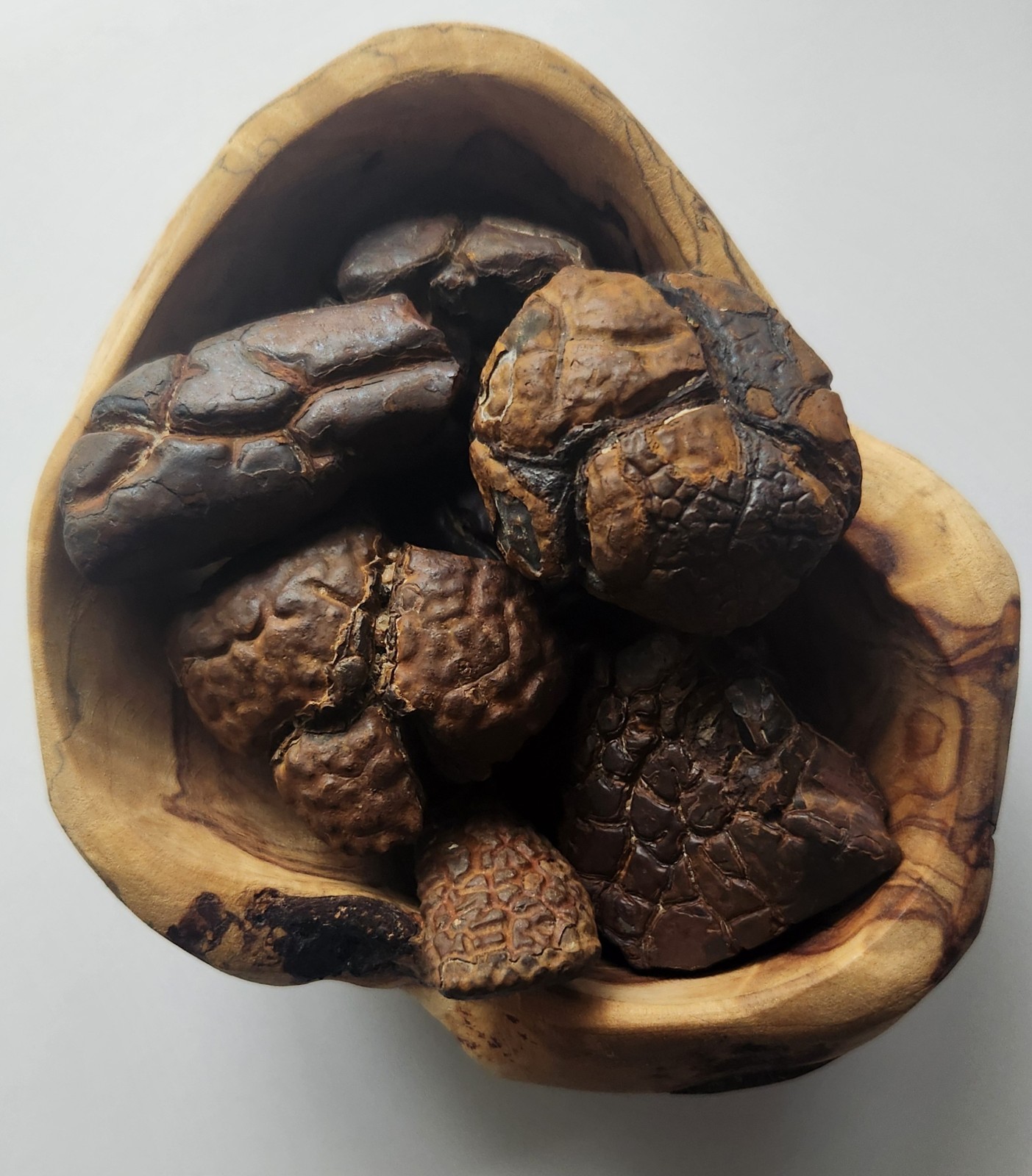 Bulk 1 lb. Lots 1″ To 2.5″ Gator Skin Siderite Concretion Septarian Mineral