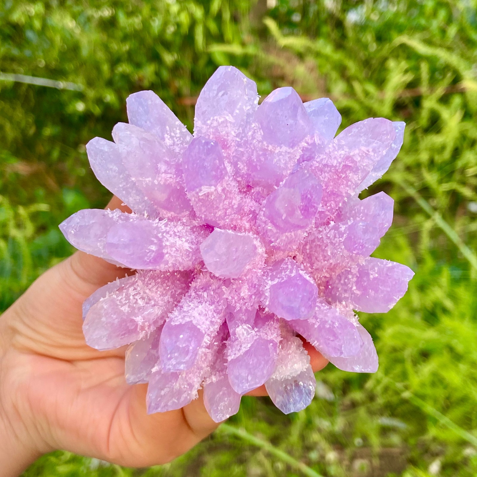 416G New Find PURPLE Phantom Cluster MineralSpecimen