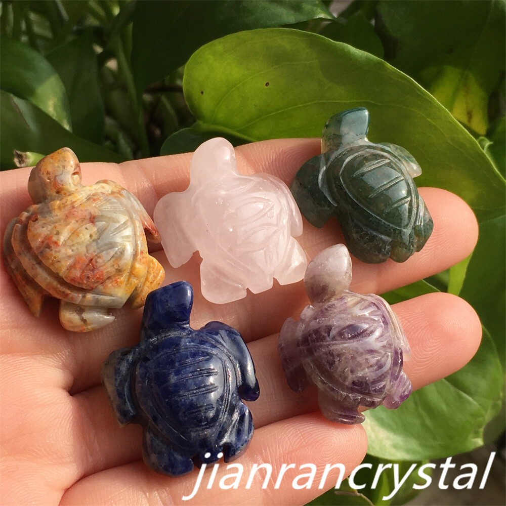 5pcs Mix Natural Quartz Tortoise Carved Mini Quartz Crystal Skull Reiki Healing
