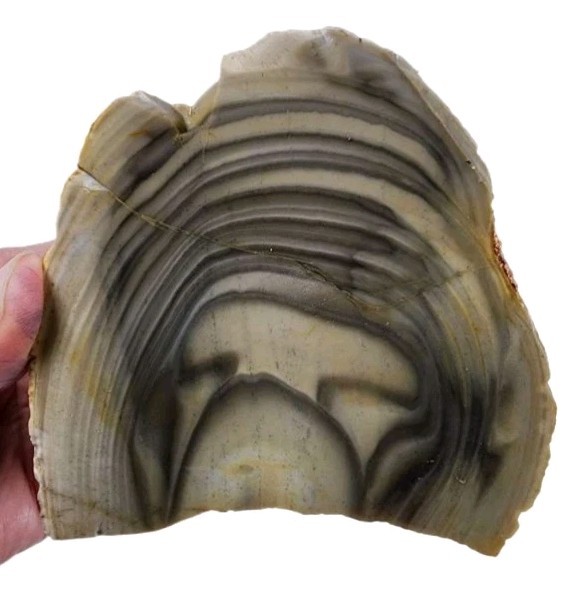 Polish Flint Faced Rough 344.7 grams.