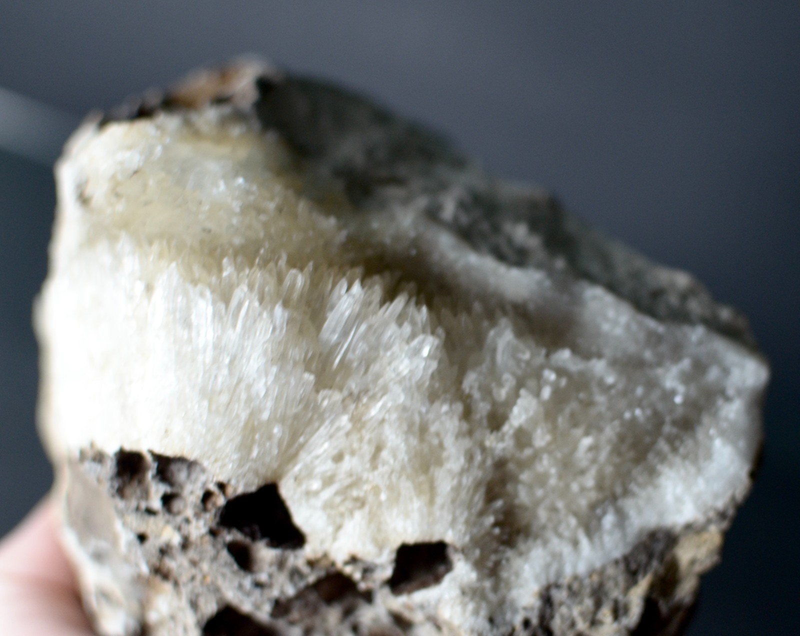 Fluorescent Aragonite Needle Spray in Fossil Matrix | Crystal River, Florida