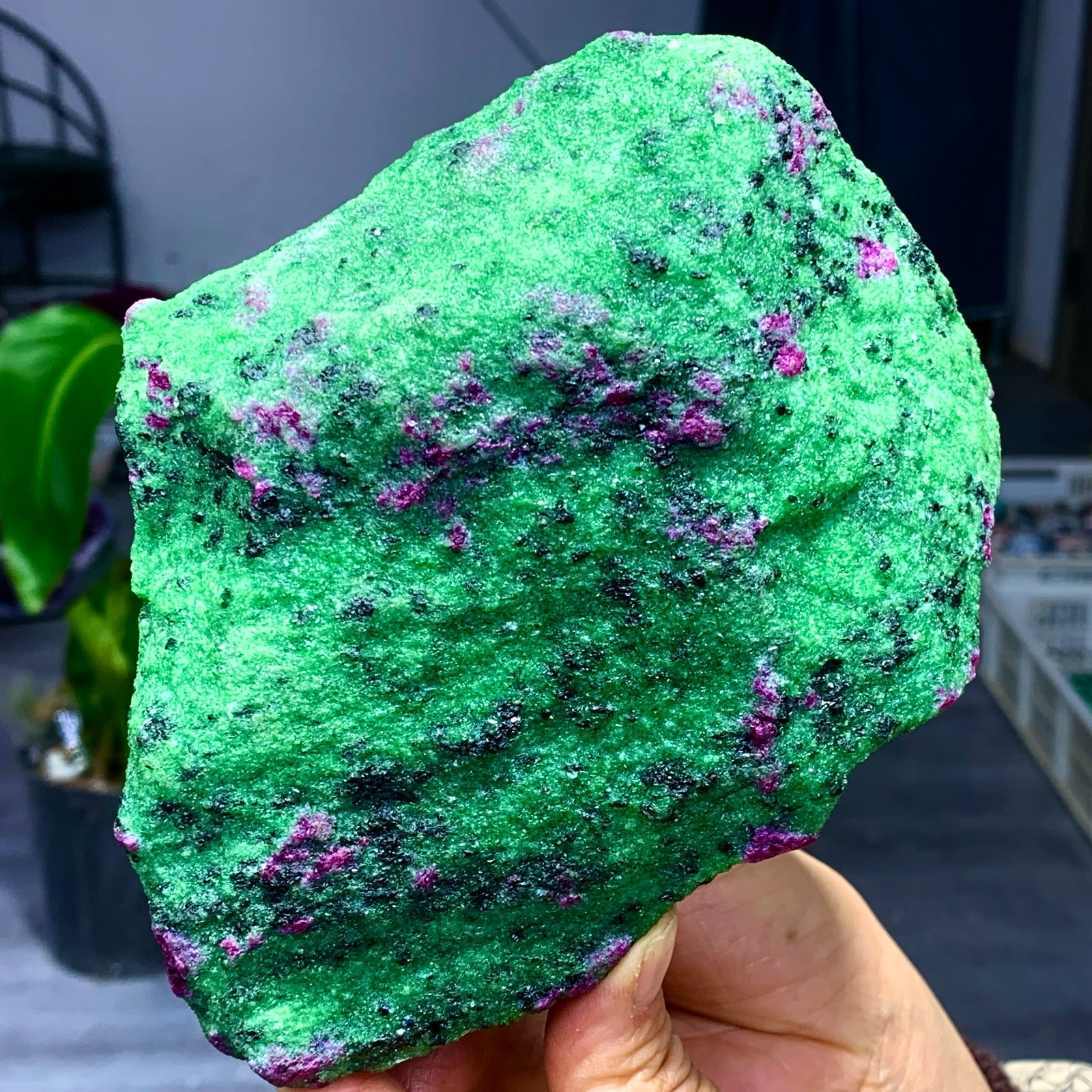3.5LB Natural green Ruby zoisite (anylite) crystal Chakra Healing Energy A761