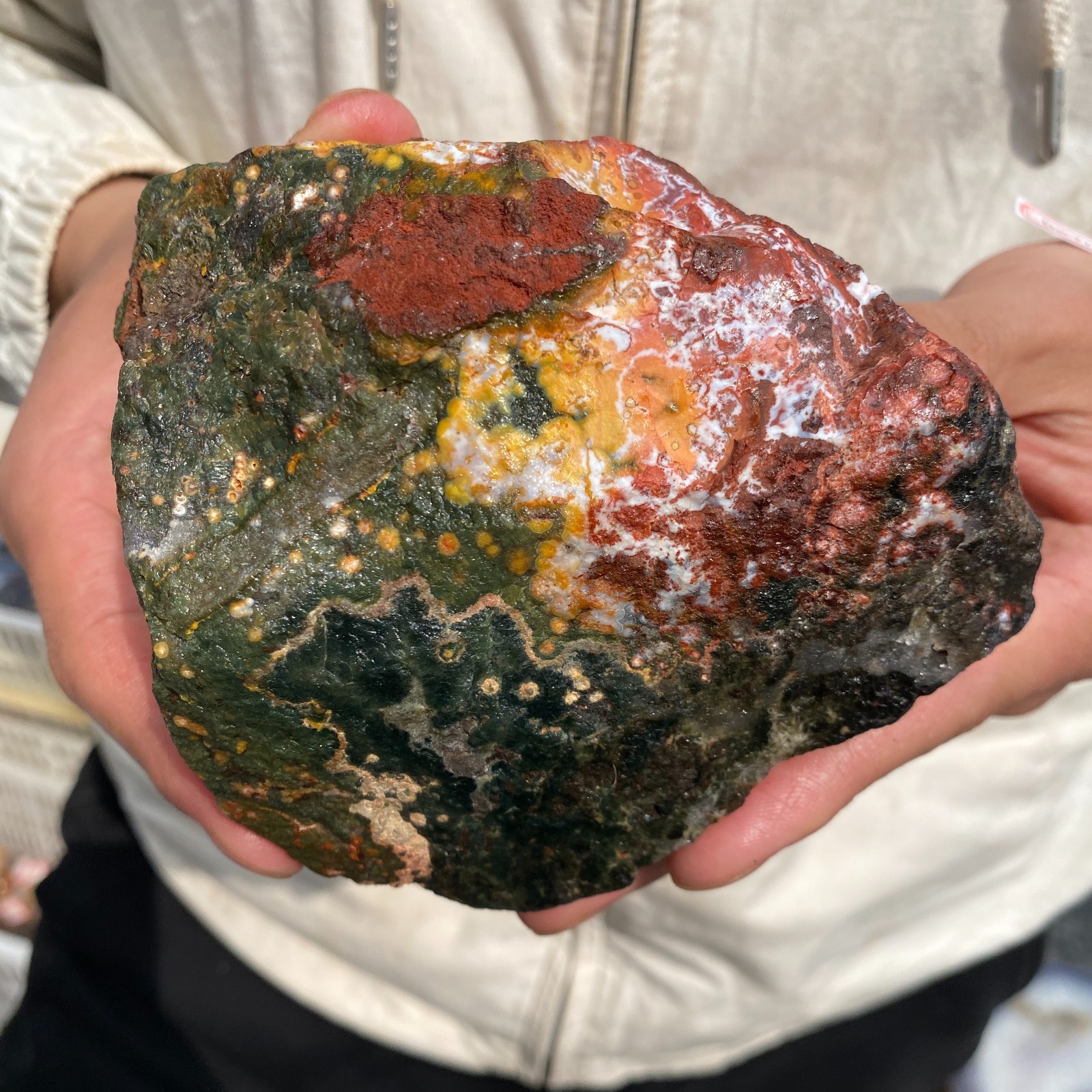 910G Rare Natural Raw Ocean Jasper Rough Quartz Crystal Mineral SpecimeM