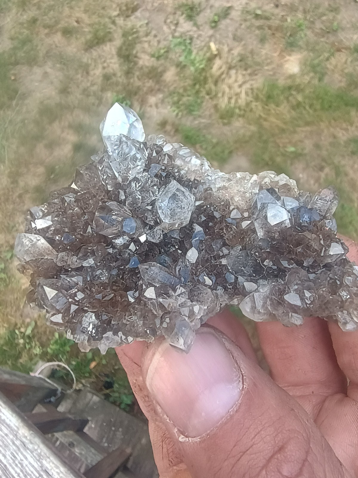 Herkimer 💎Perchers On 🖤 Smokey Druze Plate (Rare Piece) Miner Direct ⚒️