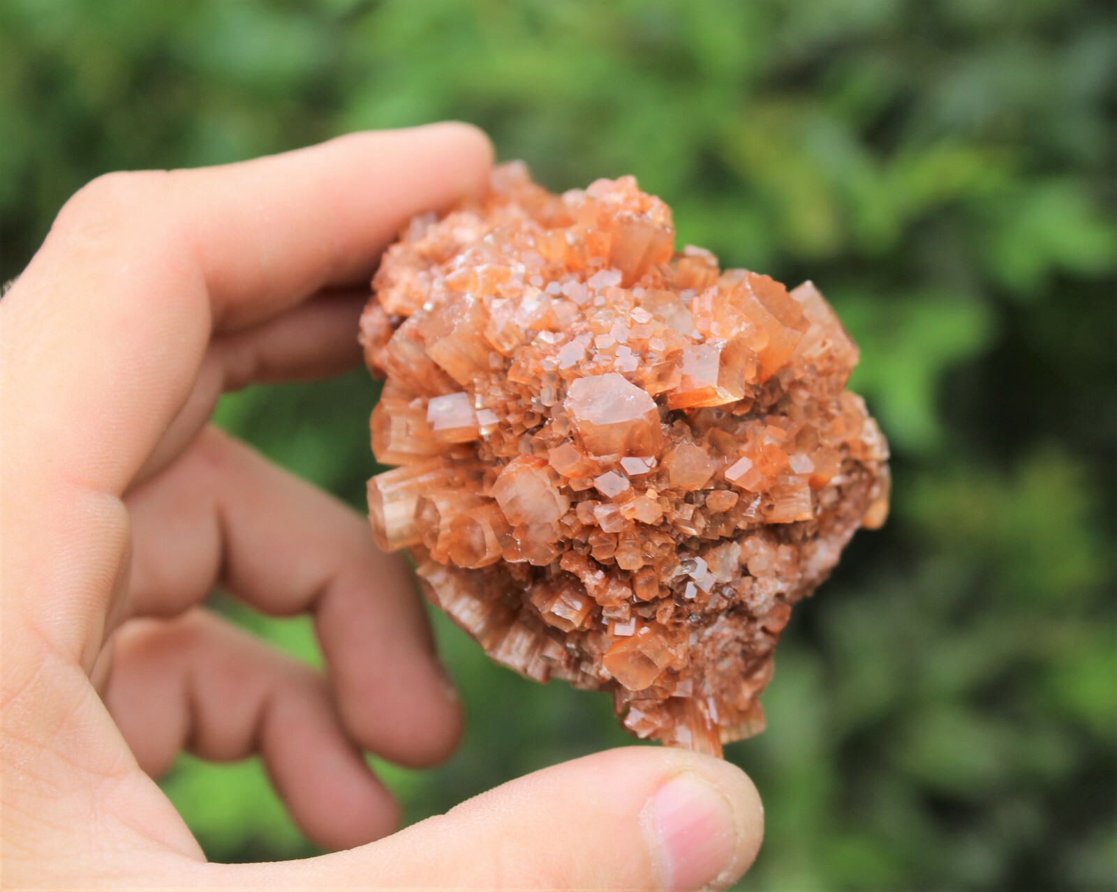 Aragonite Clusters from Morocco ‘A’ Grade Aragonite Crystals: You Choose Size!