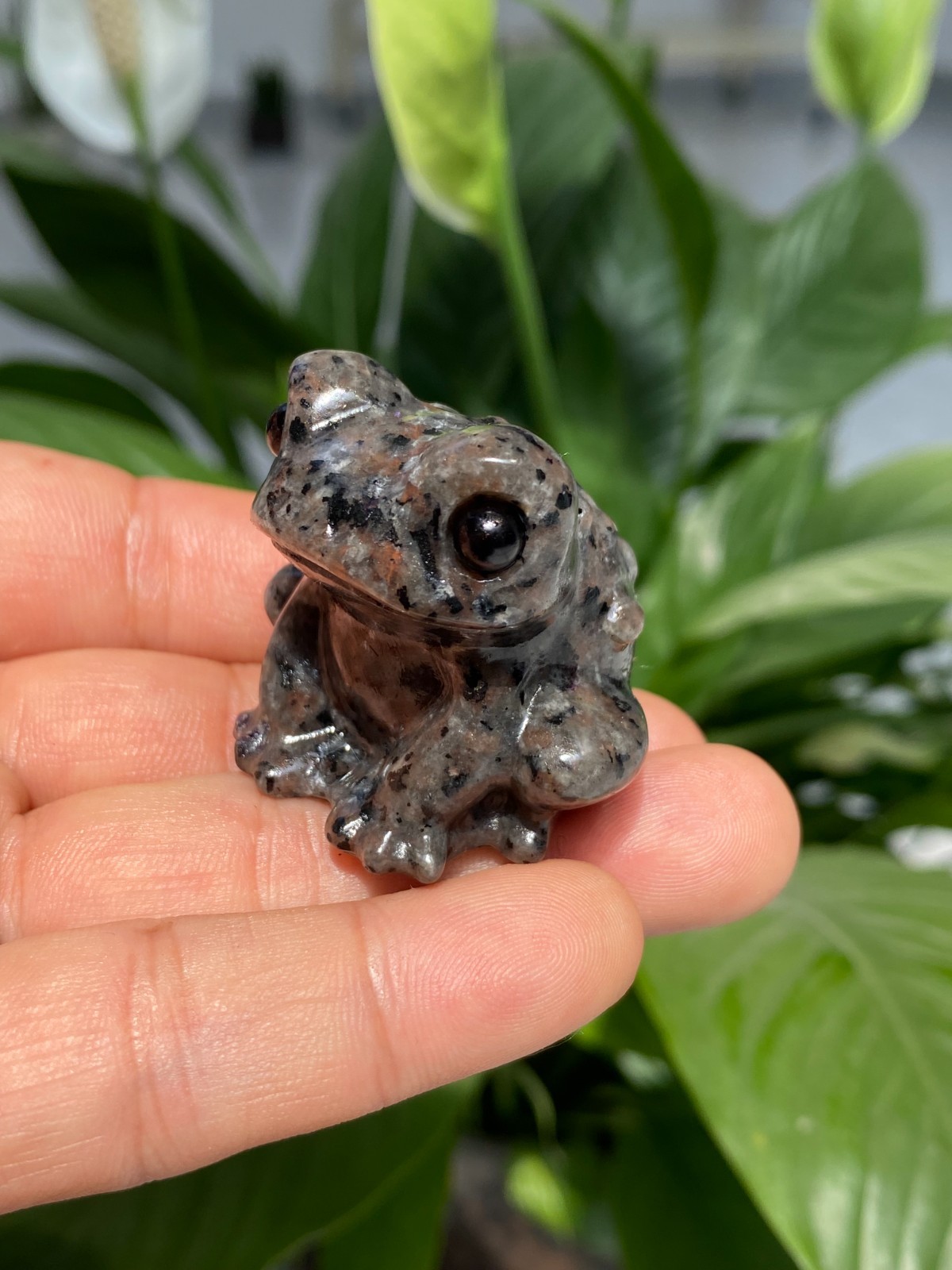 1pc Natural Yooperlite Quartz Carved Crystal Frog skull reiki healing gift Decor
