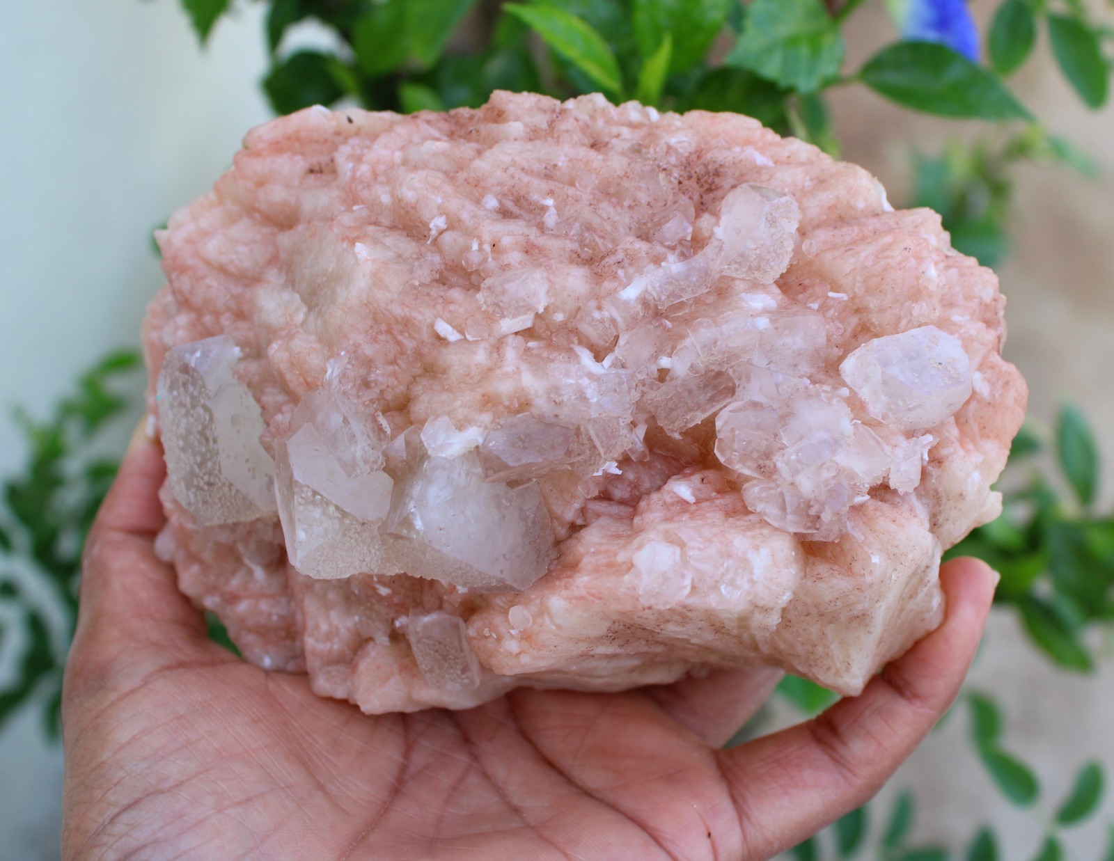 APOPHYLLITE CRYSTALS ON STILBITE NATURAL MINERALS SPECIMEN #A38