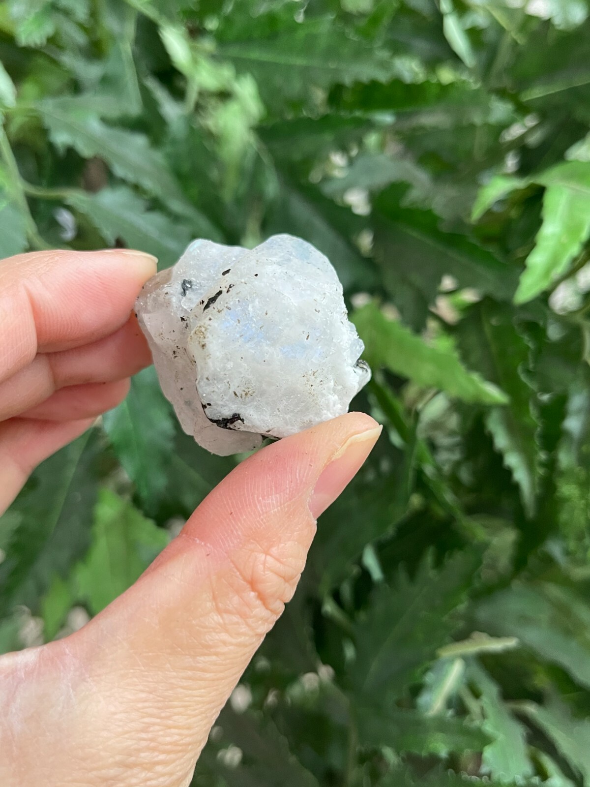 Grade A+ Rainbow Moonstone Raw Stone,Rough Rainbow Moonstone.Wholesale Bulk Lot