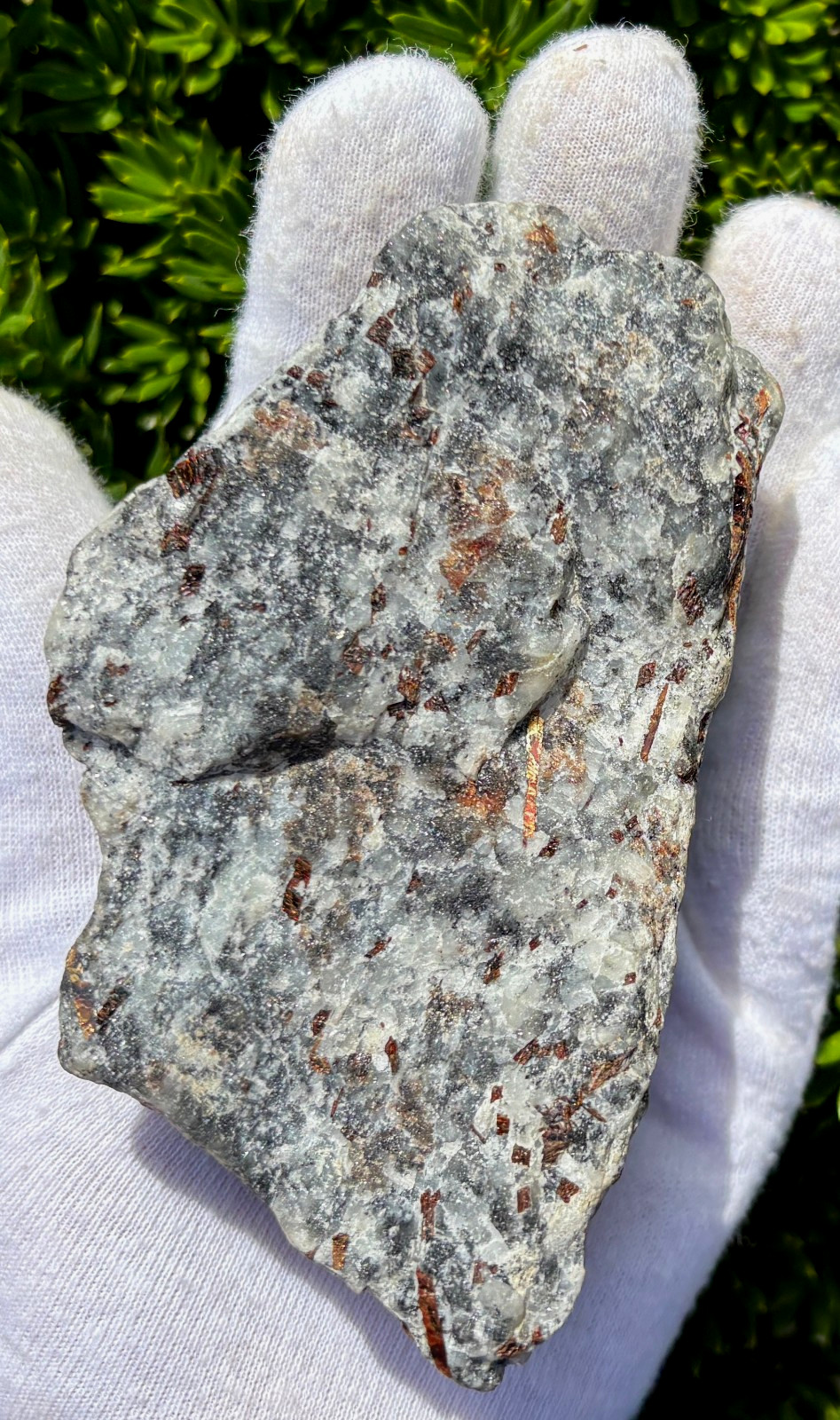 USA SALE SEE VIDEO 4″ 309g 2/3LB AUTHENTIC ASTROPHYLLITE ROUGH SPECIMEN LAPIDARY