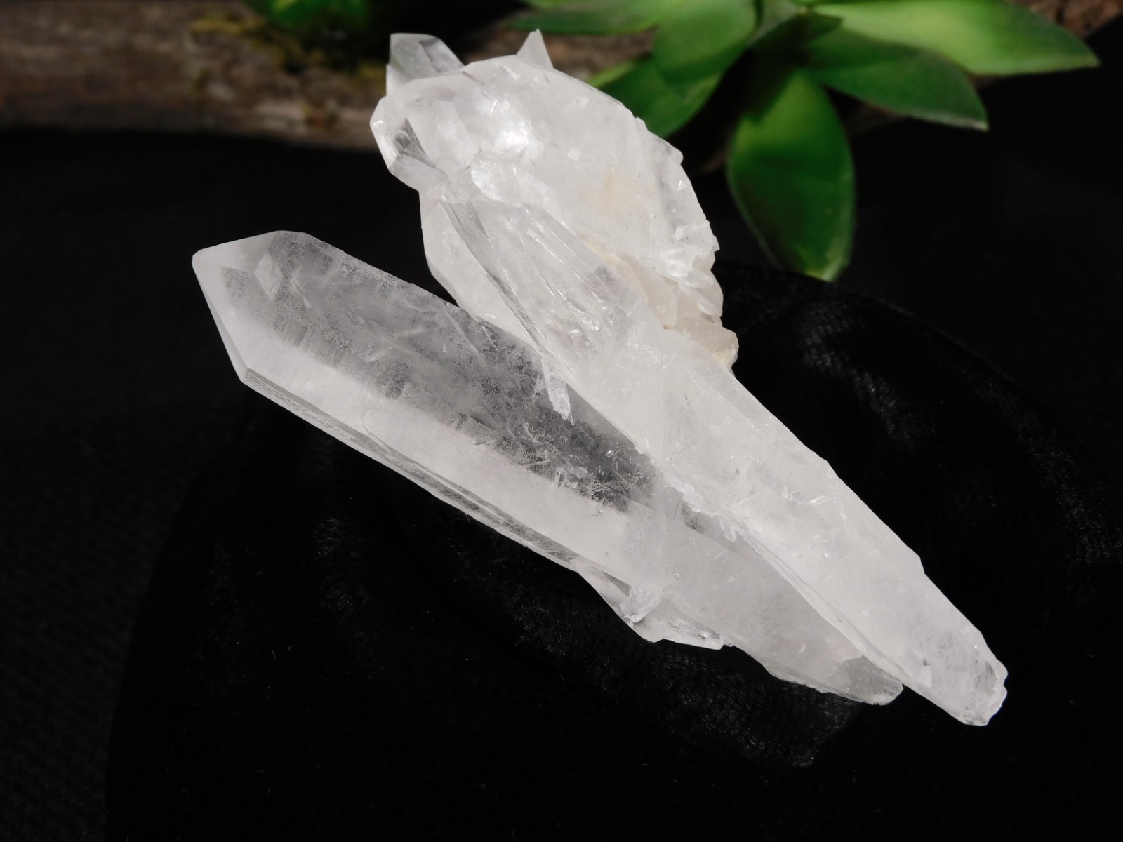 Four Points! Translucent! QUARTZ Crystal Cluster 100% Natural Brazil 70.1gr