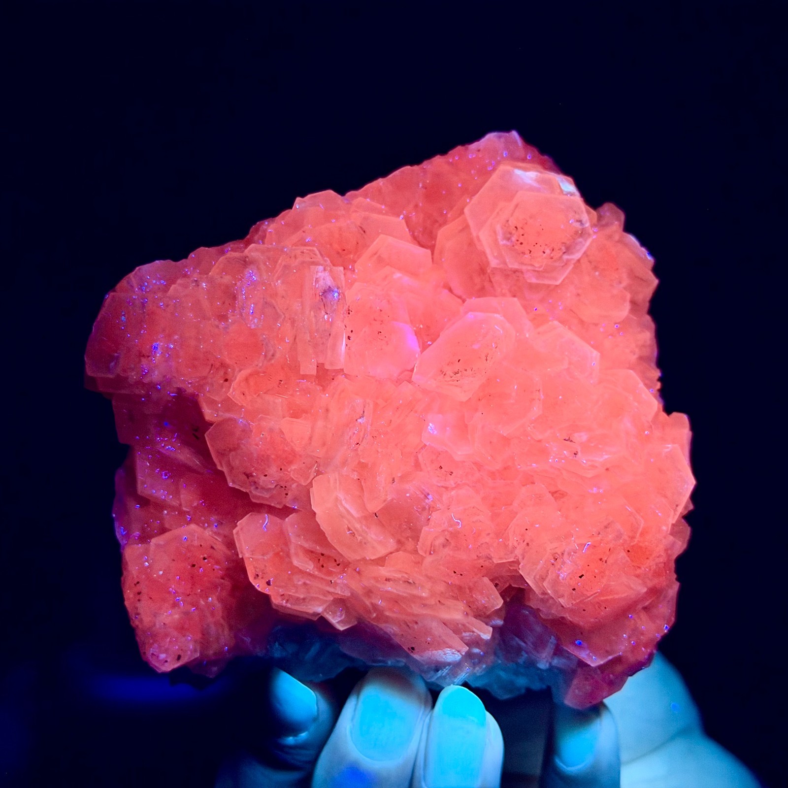 493G Natural String of Copper Coins Calcite/Fluorescent Glow Under UV Light