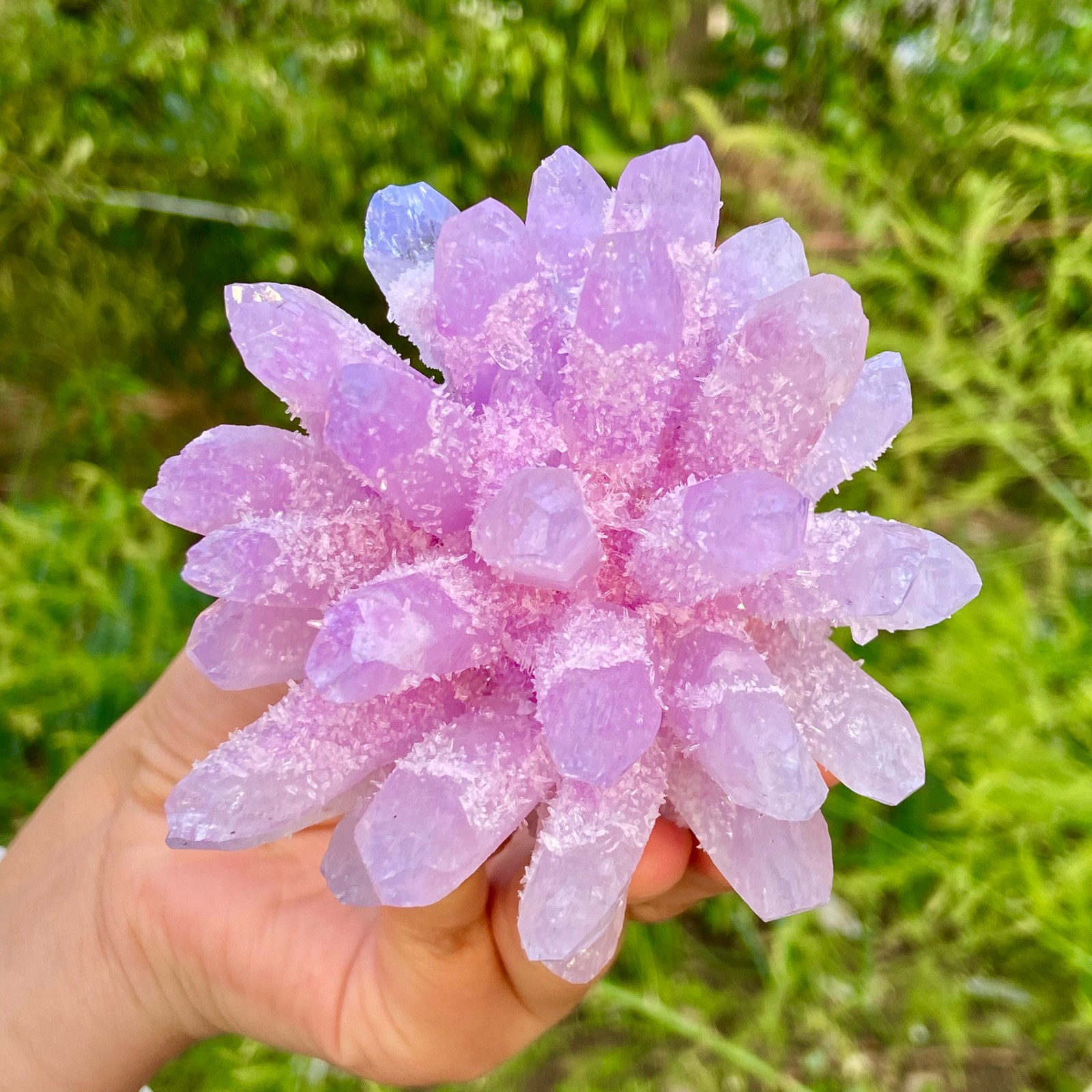 416G New Find PURPLE Phantom Cluster MineralSpecimen