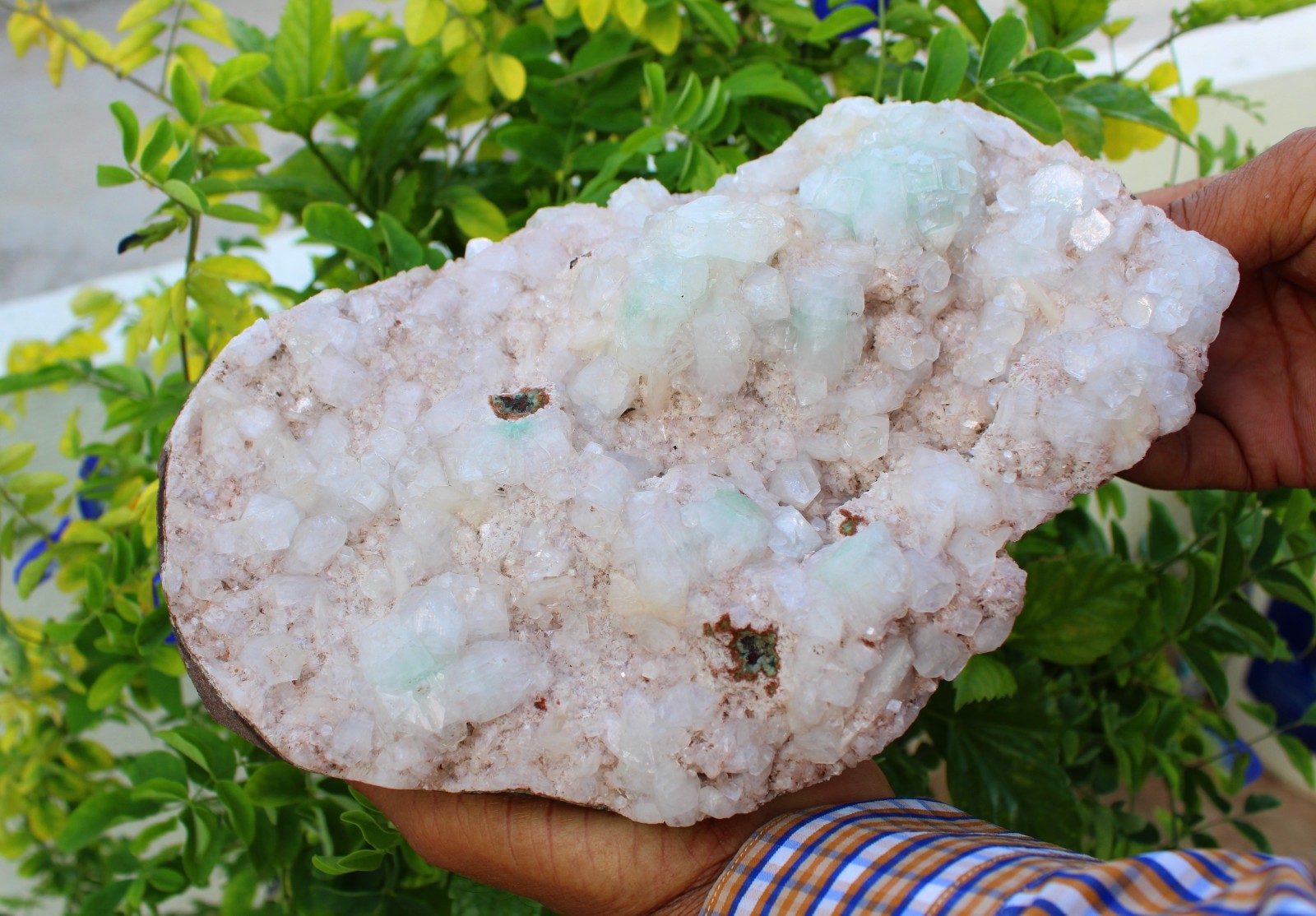 Green Apophyllite Crystals Format On Heulandite Matrix Minerals Specimen