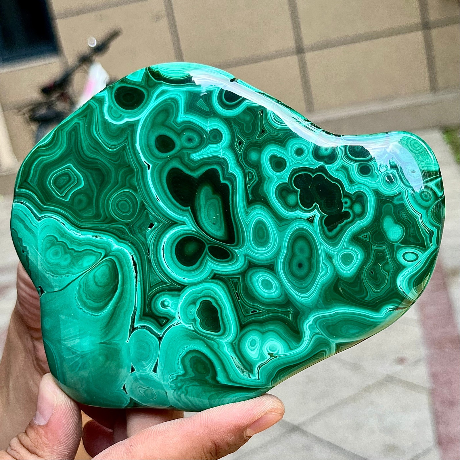 2.2 lb Malachite Quartz Freeform One Side Polished Natural Crystal Specimen