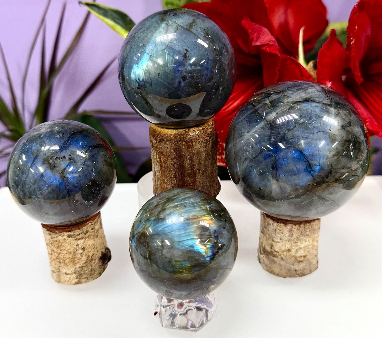 Wholesale Lot 3-5PCs Natural Labradorite Spheres Crystal Healing Energy 2.8-3lbs