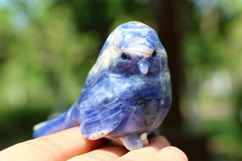 1pc Natural Sodalite Quartz Carved Bird Skull Crystal Reiki Decor Gift 2.4”
