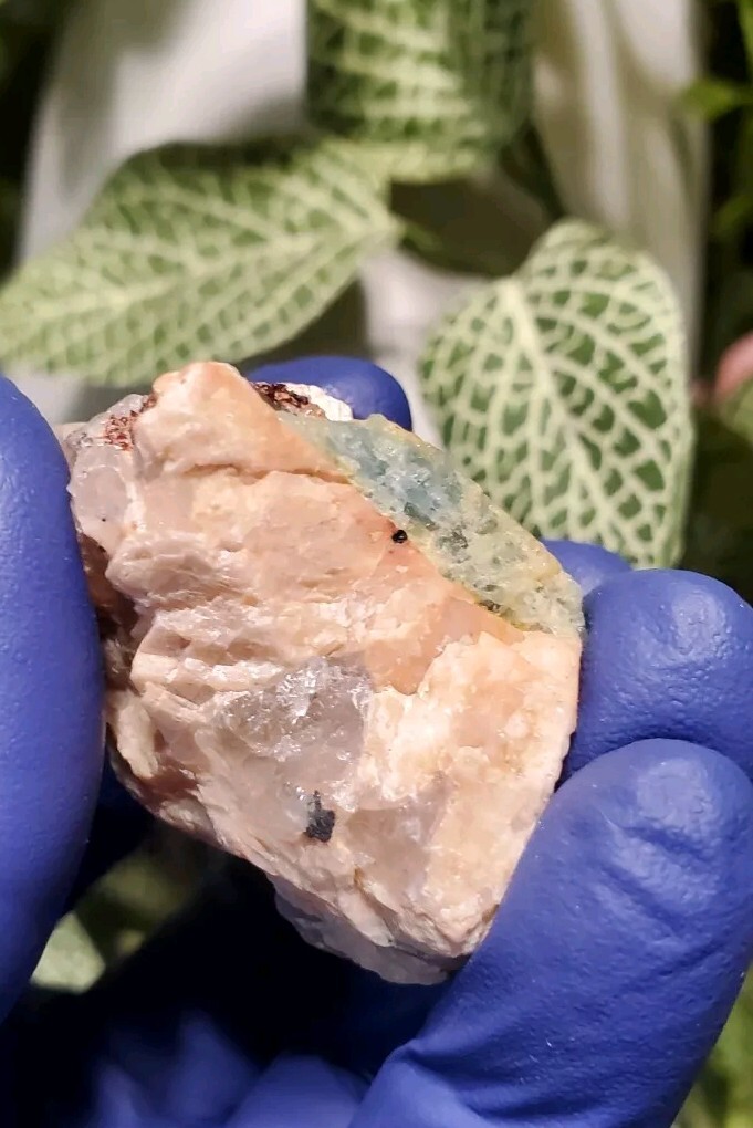Aquamarine in Feldspar Crystal Specimen 40 grams