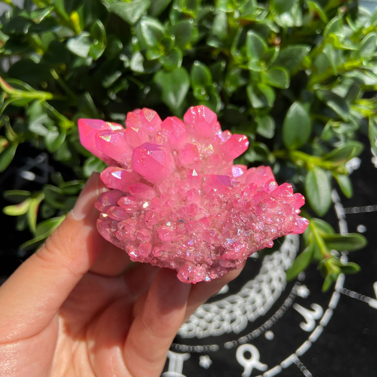 104g Titanium Angel Aura Quartz Pink Aura Cluster Positive Energy Stone Decor