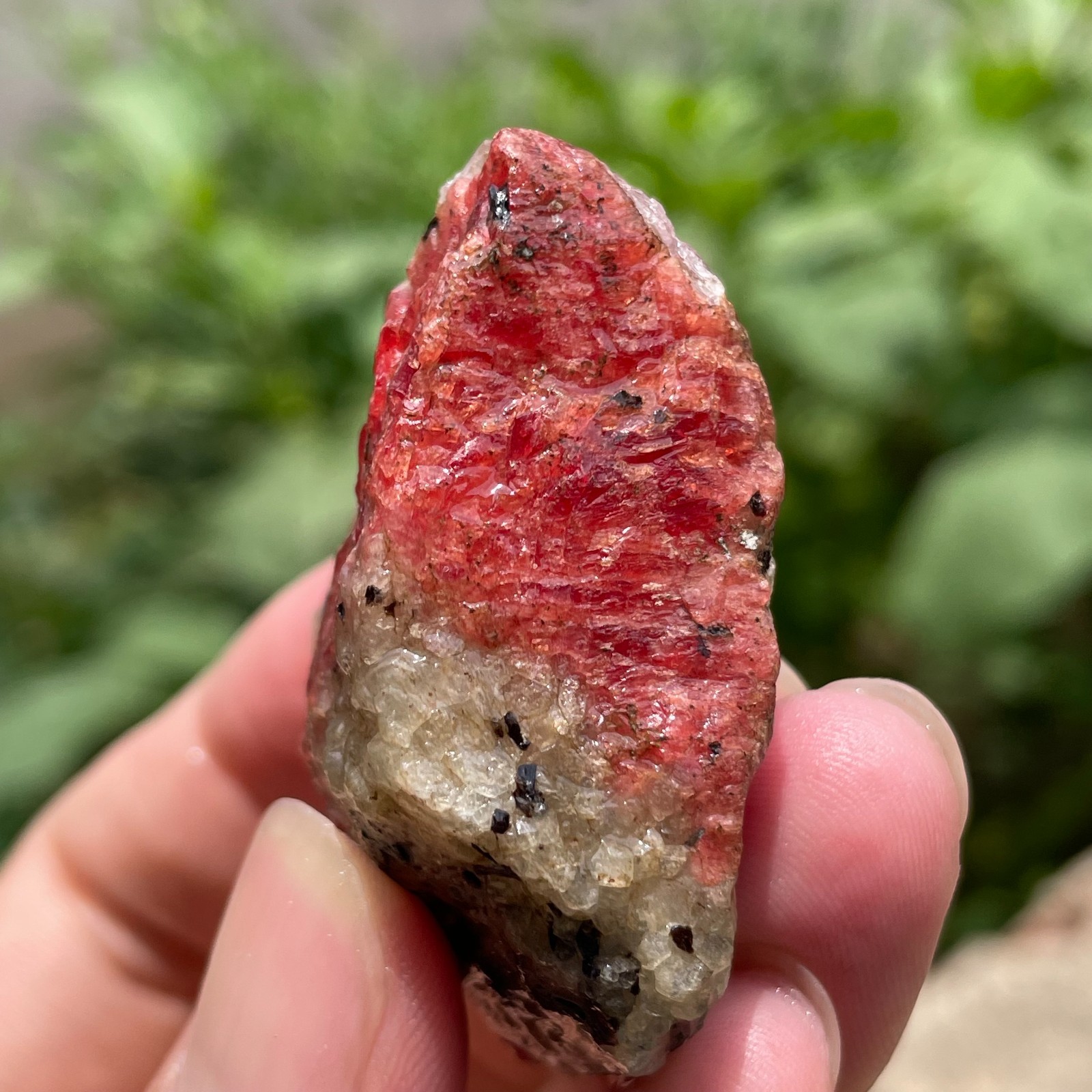 68g Small Raw Ore Red Black Rhodonite Quartz Gemstone Mineral Specimen