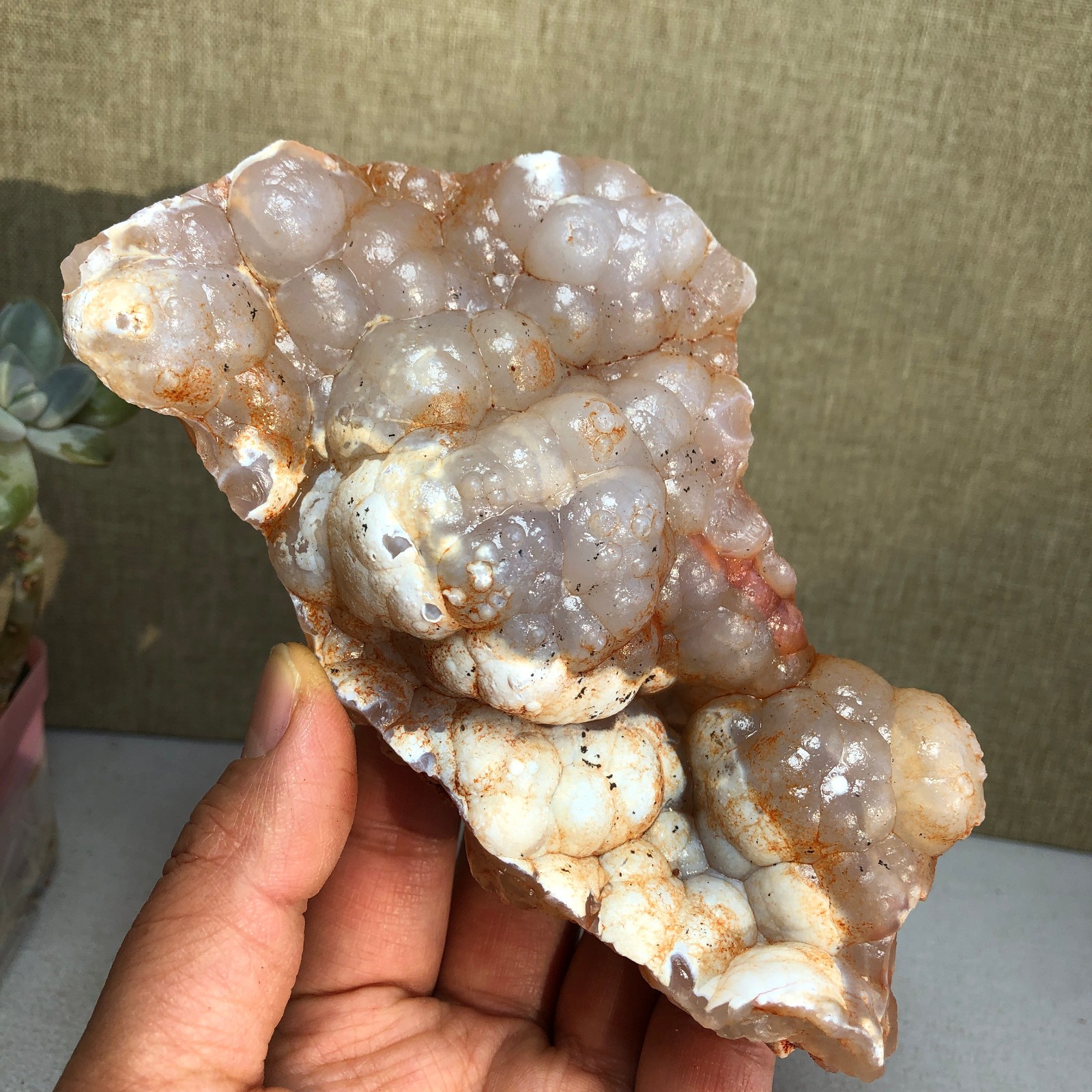 Rare Bonsai Suiseki Gobi semi-precious stone rough original Specimen 286g A2327