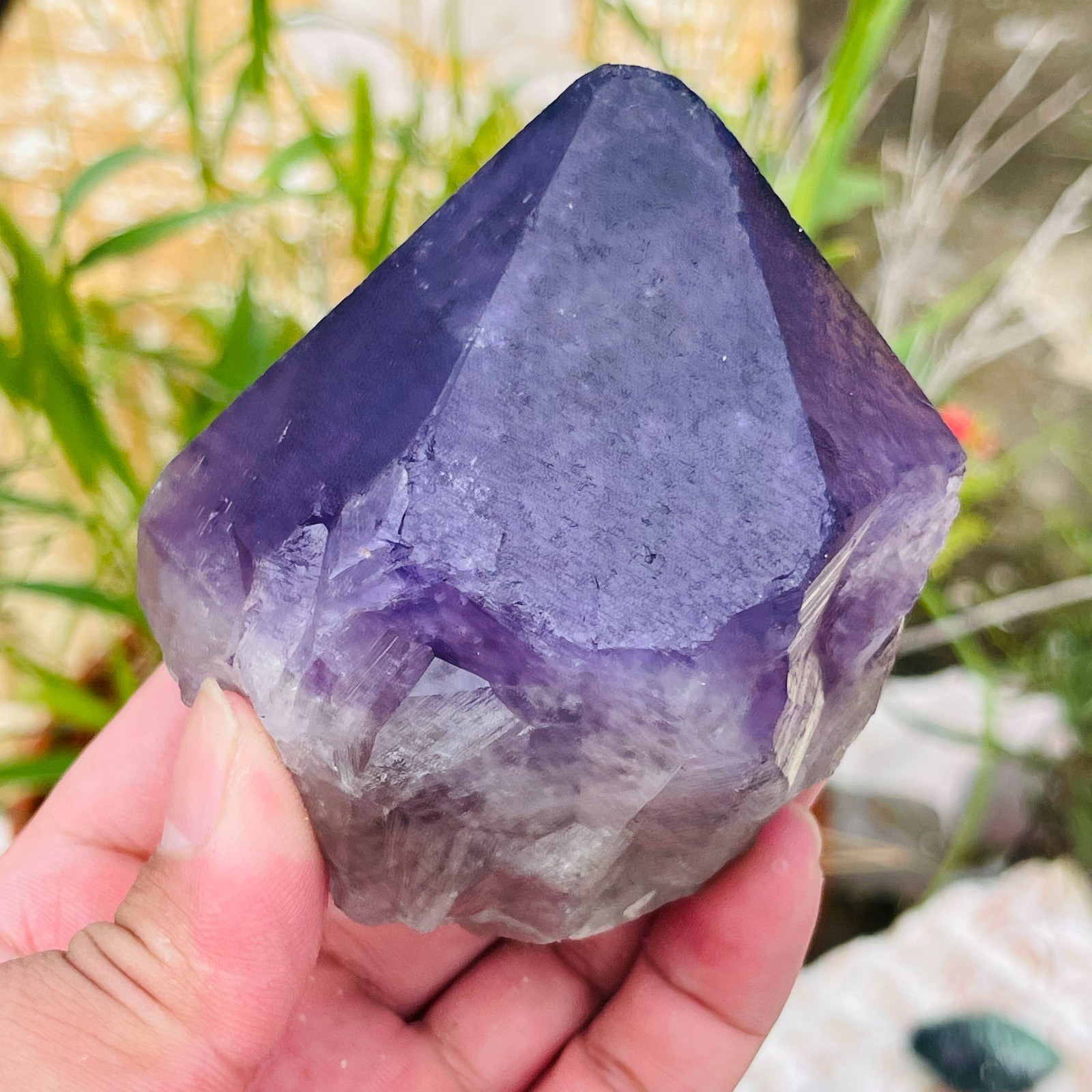 467g Natural Amethyst Unicuspid Quartz Crystal Points Rough Mineral Specimen