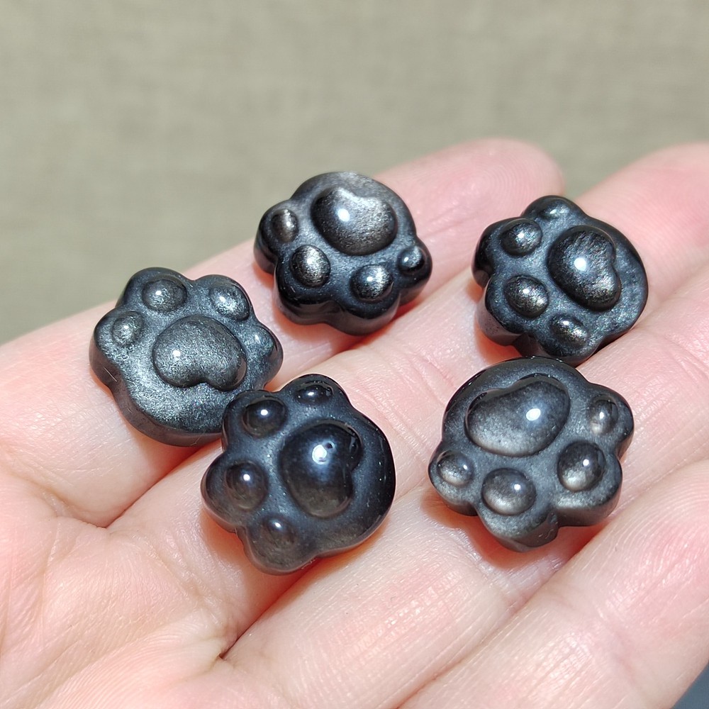 5pcs Natural Silver Obsidian Cat Claw Skull Carved Quartz Crystal Skull healing