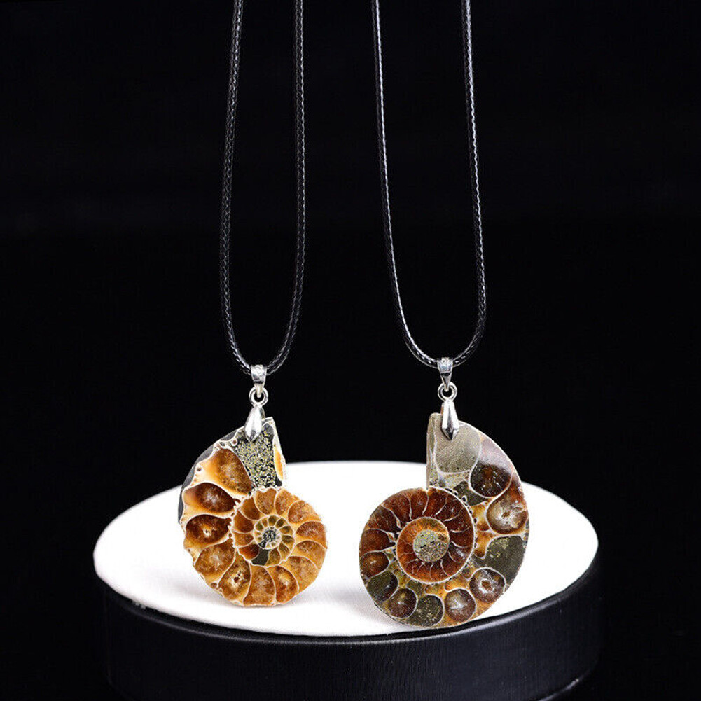 5Pcs Natural Conch Fossil Quartz Energy Stone crystal Healing Pendant Necklace
