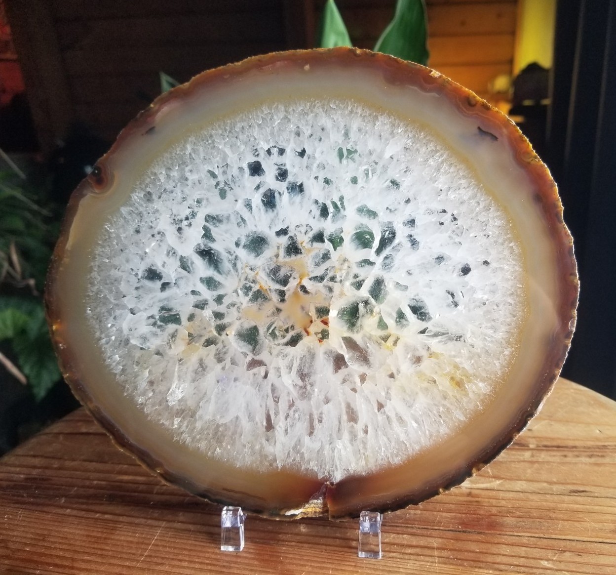 Great 7×6″ Brazil Agate Slab Polished Round Natural Beautiful Translucent Unique