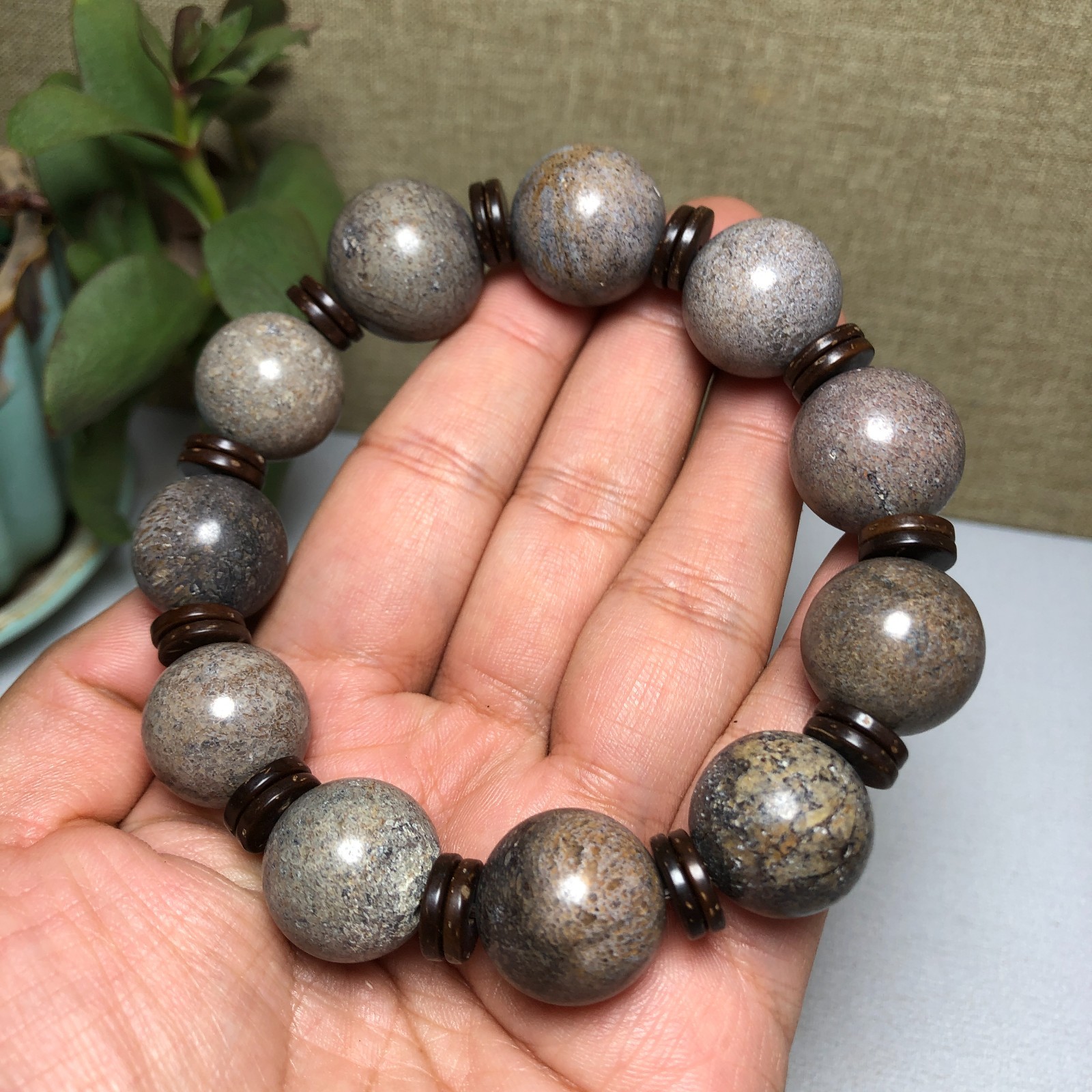 Top! Natural polished dinosaur bone bracelets specimen Madagascar 18mm A1005