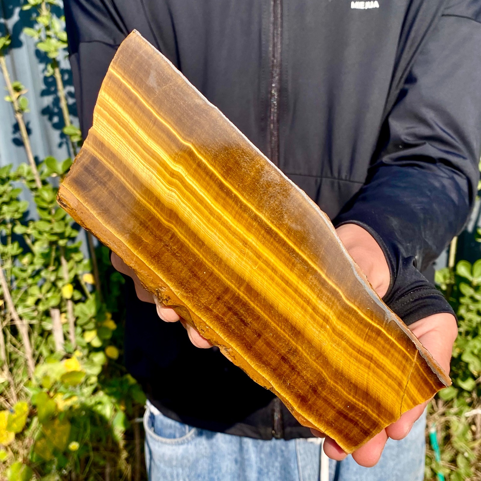 1.3LB Natural Tiger Eye Stone slice Quartz Crystal Polished Specimen healing