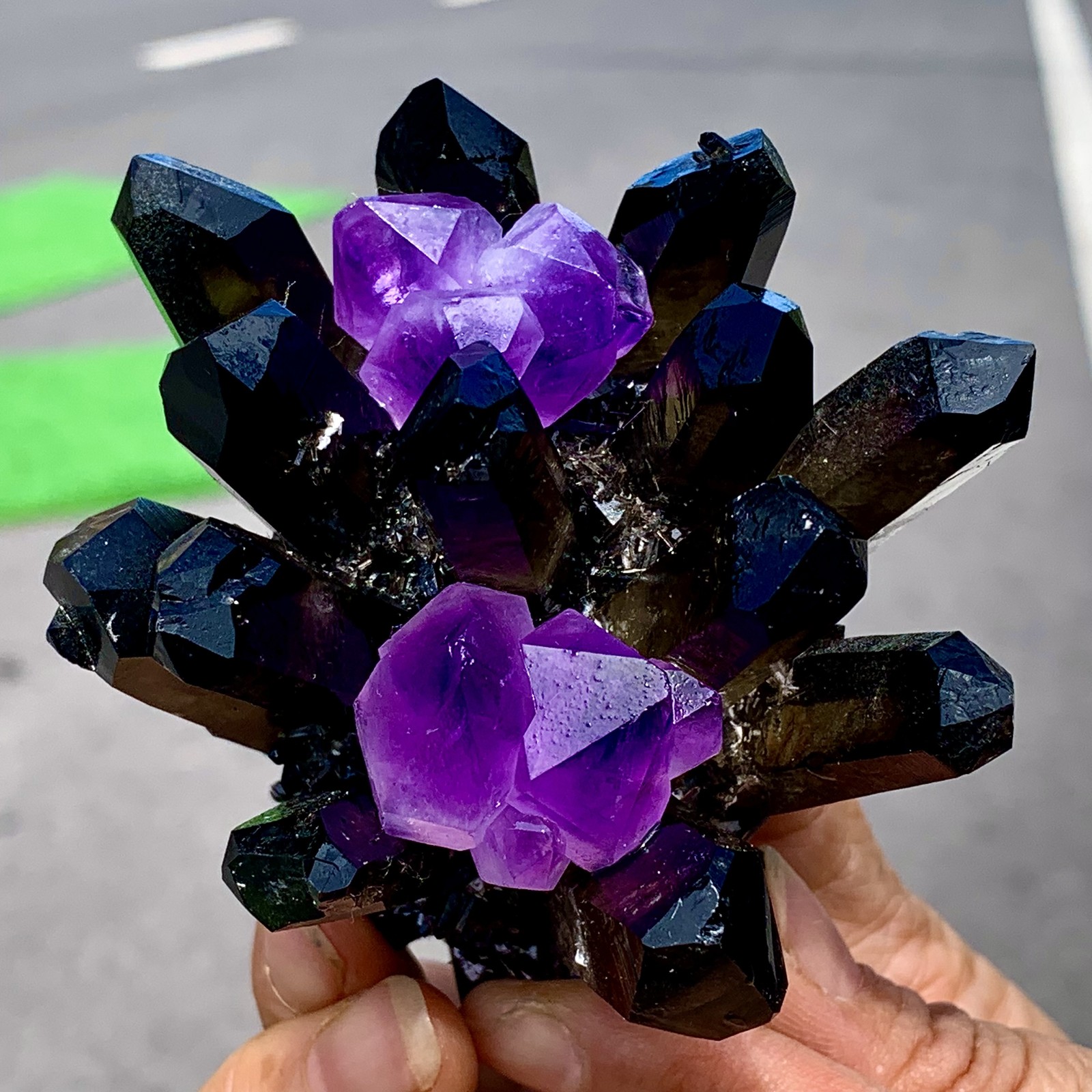 268G New Find black+purple Phantom Quartz Crystal Cluster Mineral Specimen